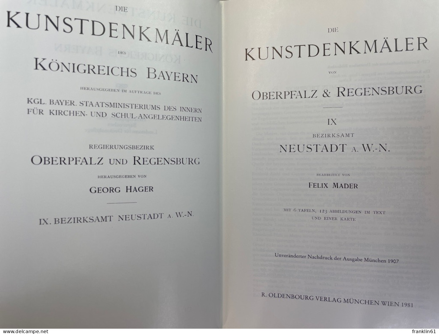 Die Kunstdenkmäler Von Oberpfalz Und Regensburg. Band IX.. Bezirksamt Neustadt A.W.-N. - Architecture