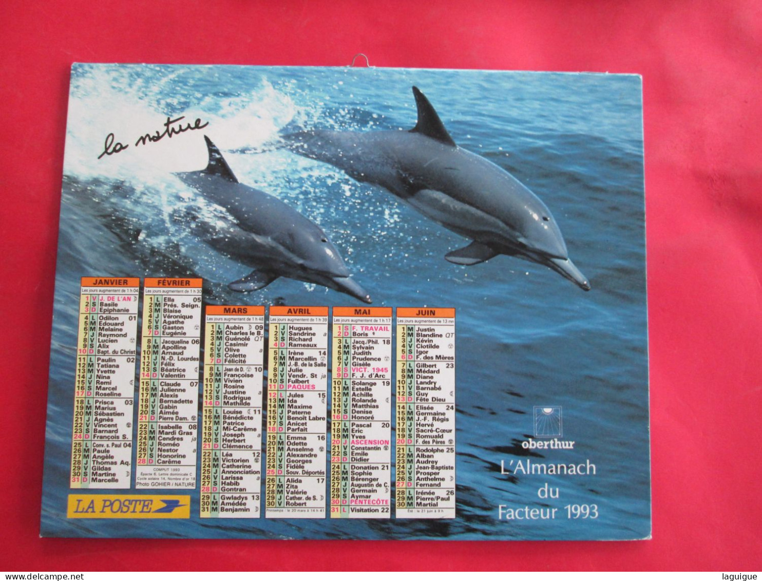 CALENDRIER ALMANACH 1993 LA NATURE OURS BLANC DAUPHIN OBERTHUR - Groot Formaat: 1991-00