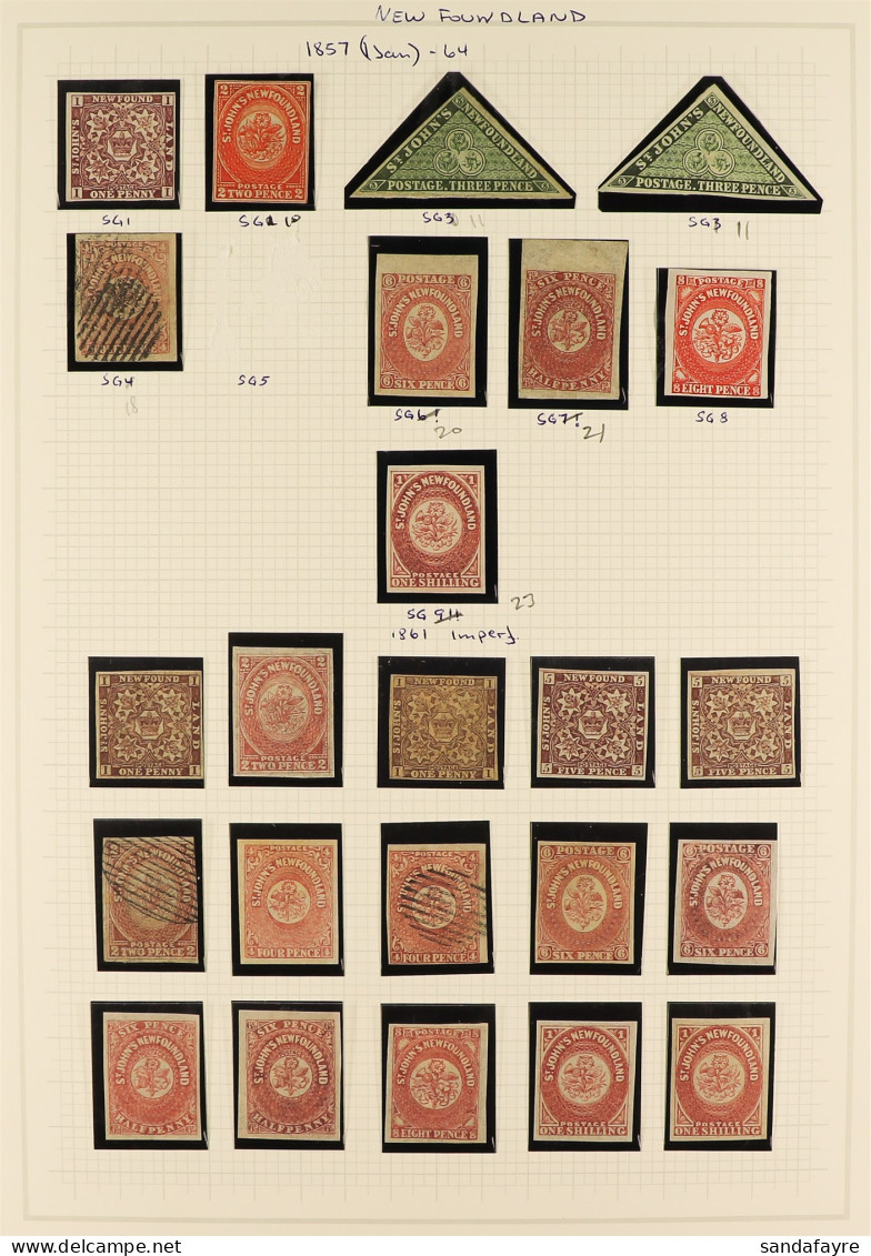 NEWFOUNDLAND - 1857 TO 1935 CHIEFLY MINT COLLECTION On 15 Album Pages, Note (imperfs With 4 Margins) 1857-64 1d Red-brow - Andere & Zonder Classificatie