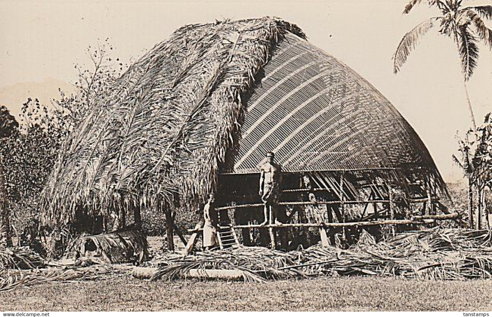 Western Samoa Hut Postcard Tattersall Studio REAL PHOTO - Samoa