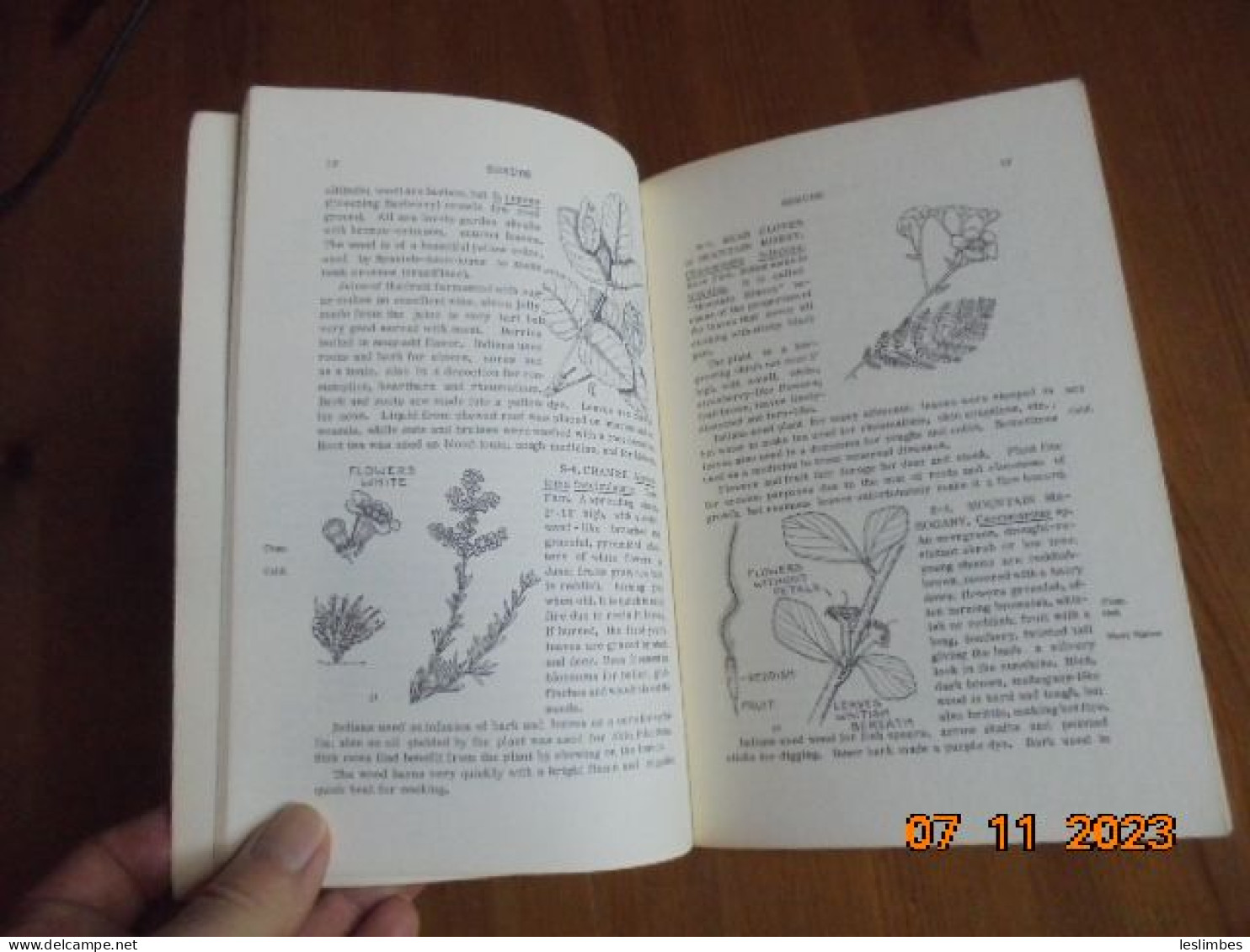 Common Edible And Useful Plants Of The West: With Illustrations Of 116 Plants - Muriel Sweet - Naturegraph 1962 - Wildlife