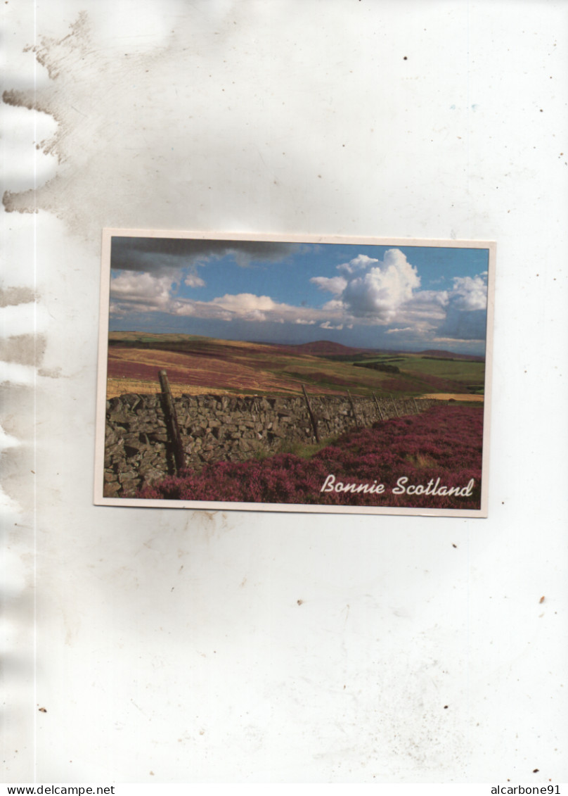 THE LAMMERMUIR HILLS - Berwickshire