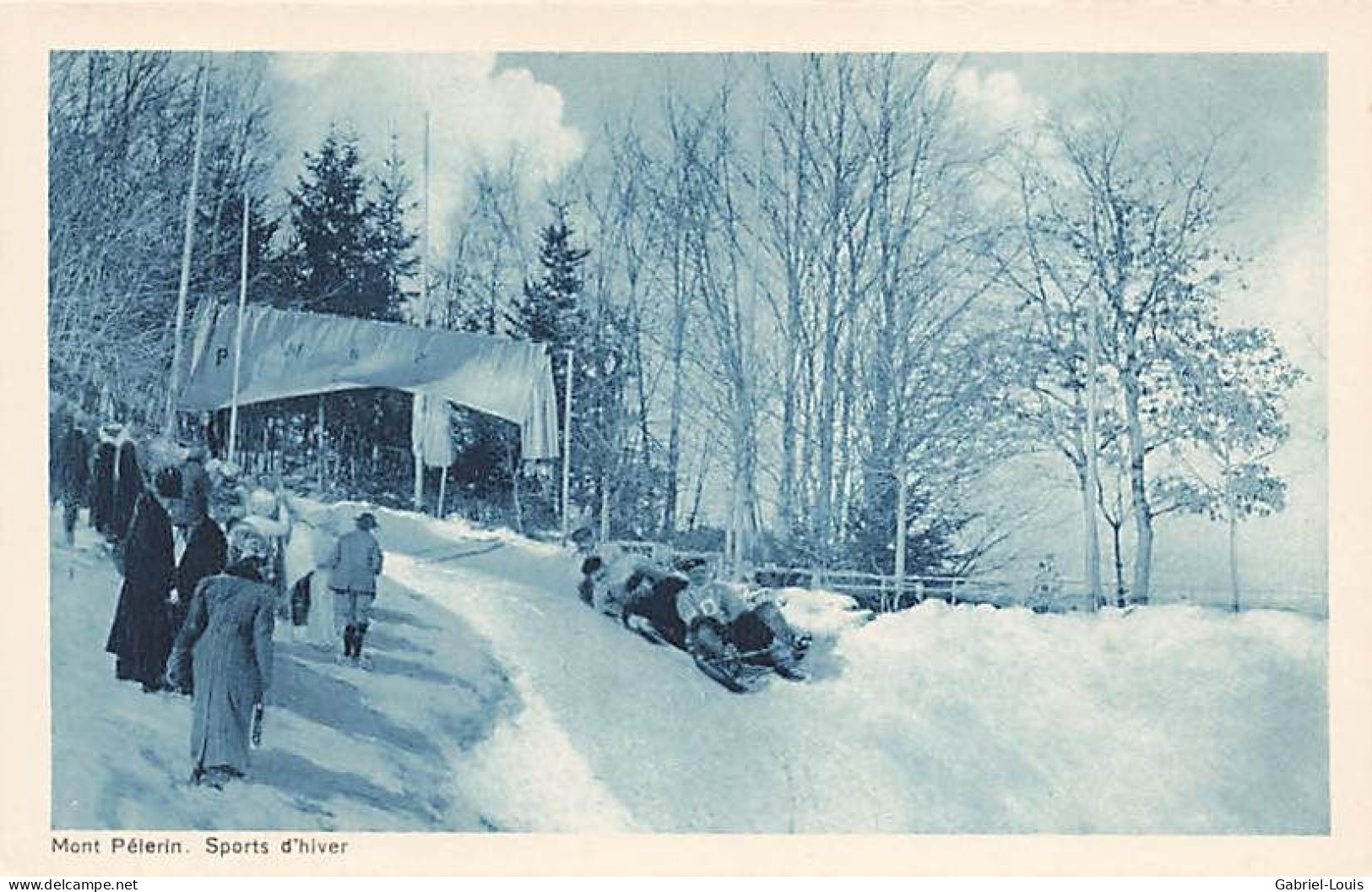 Mont Pélerin Sur Vevey Sport D'hiver Luge Bobsleigt - Vevey