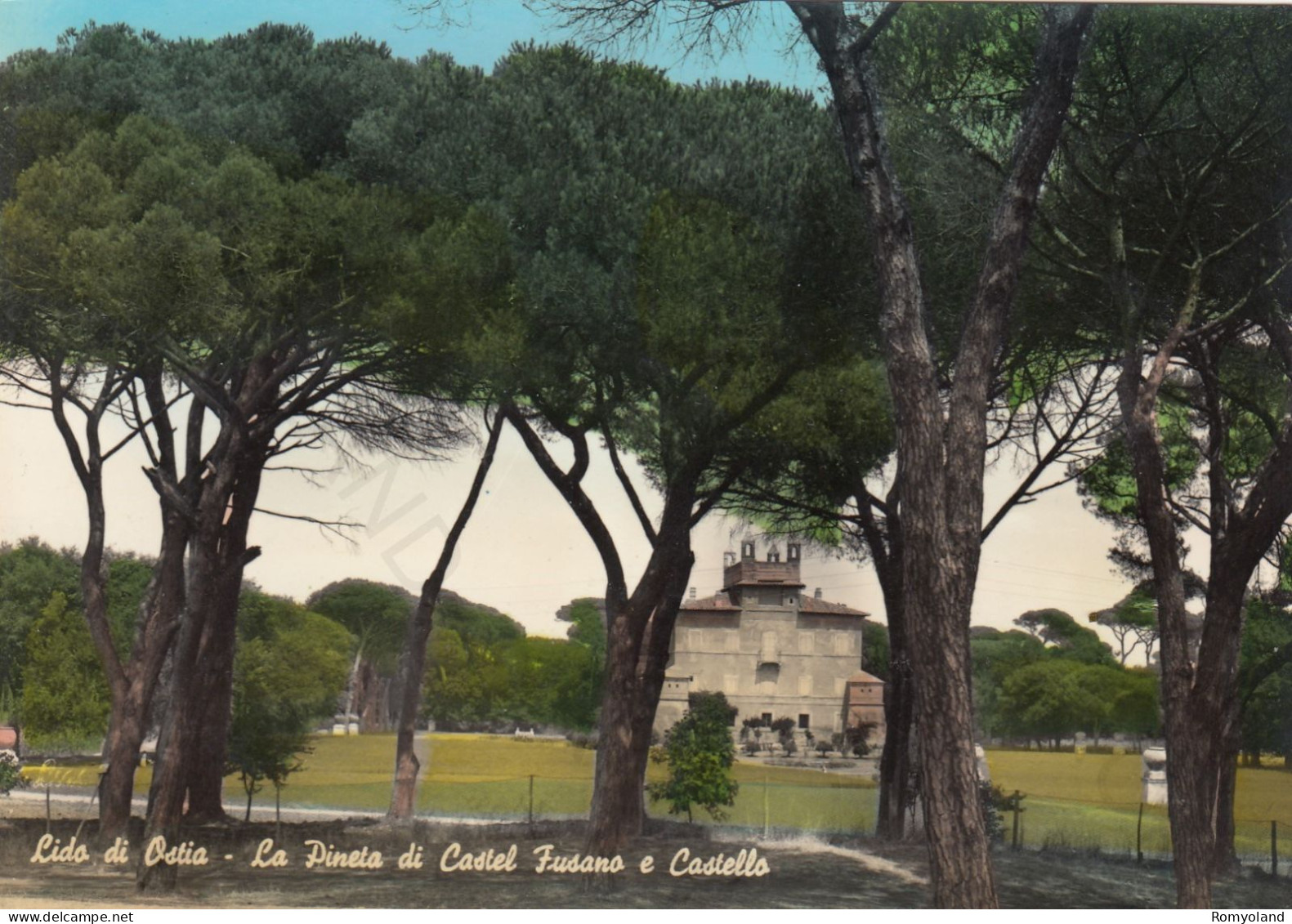 CARTOLINA  LIDO DI OSTIA,ROMA,LAZIO-LA PINETA DI CASTEL FUSANO E CASTELLO-STORIA,MEMORIA,BELLA ITALIA,VIAGGIATA 1964 - Cafés, Hôtels & Restaurants