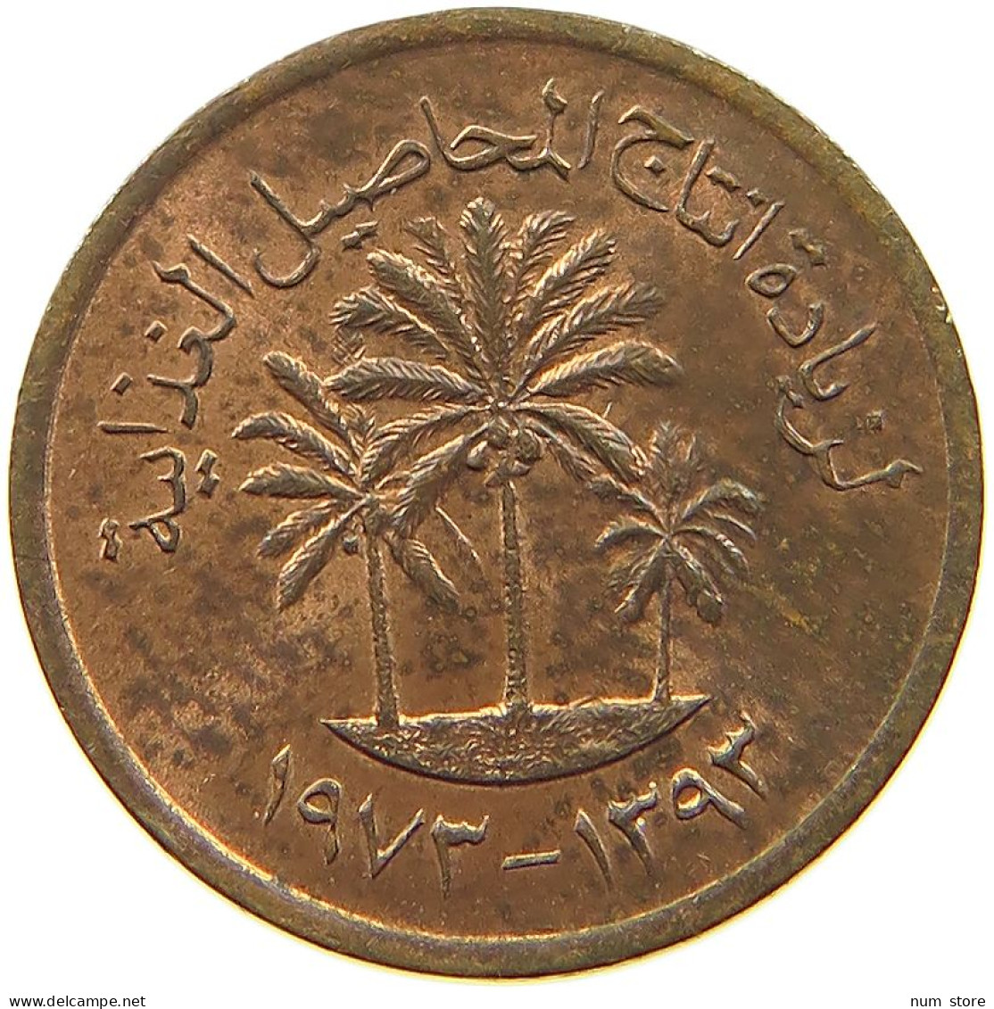 QATAR DIRHAM 1973  #a038 0263 - Qatar