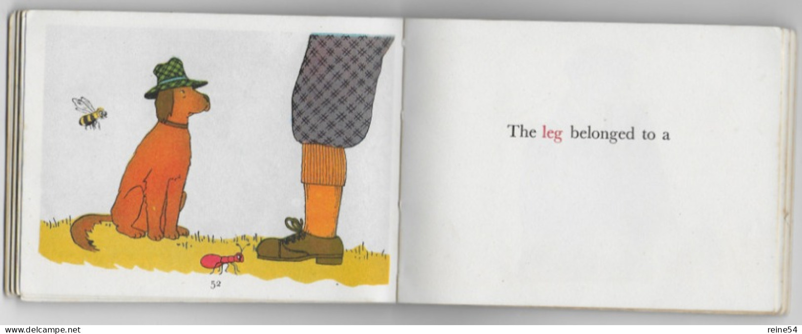ANT And BEE -Angela BANNER -An Alphabetical Story For Tiny Tots- Edmund Ward - Libros Escolares