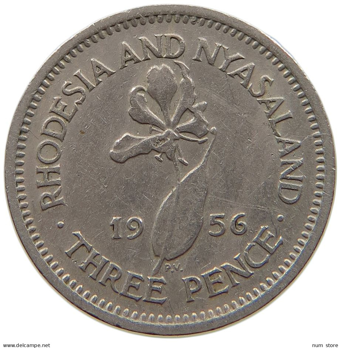 RHODESIA AND NYASALAND 3 PENCE 1956 Elizabeth II. (1952-2022) #a089 0263 - Rhodésie