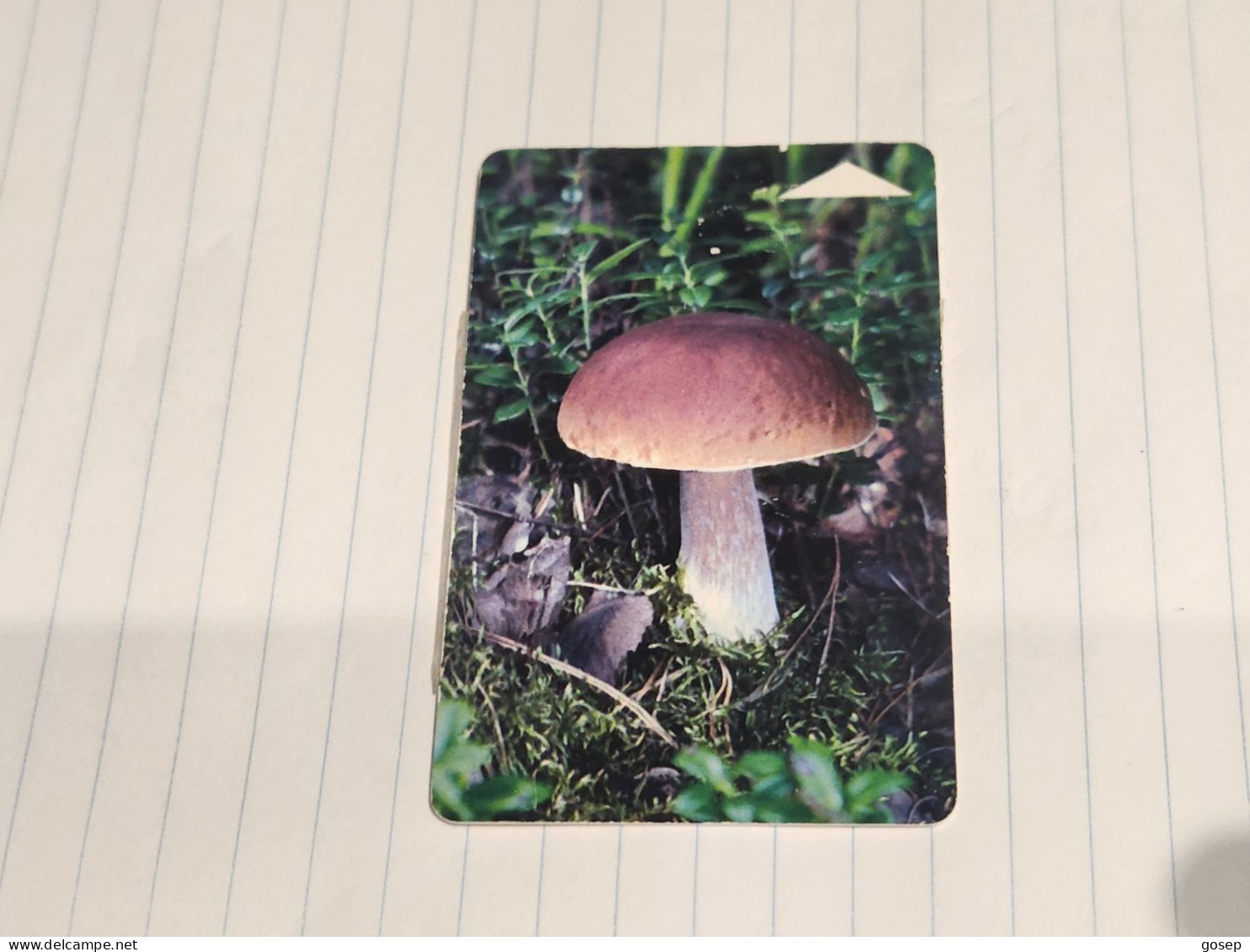 BELARUS-(BY-BLT-098)-Mushroom Leccinum-(88)(SILVER CHIP)(064230)(tirage-65.000)used Card+1card Prepiad Free - Belarus