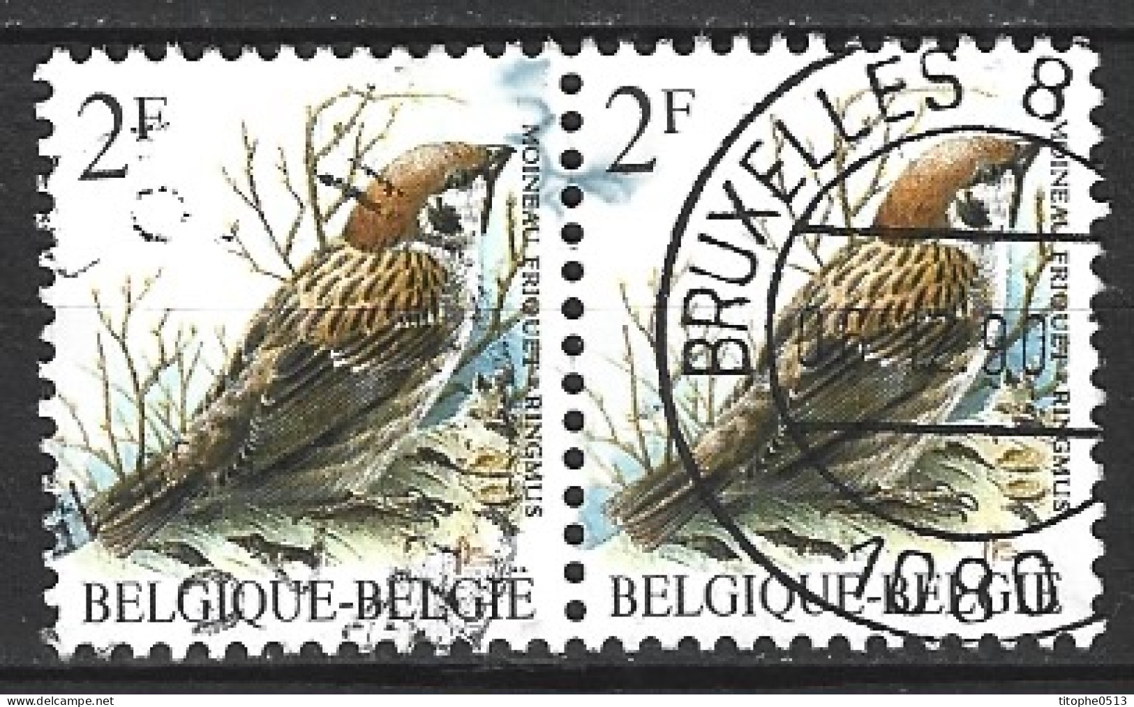 BELGIQUE. N°2348 Oblitéré De 1989. Moineau. - Moineaux