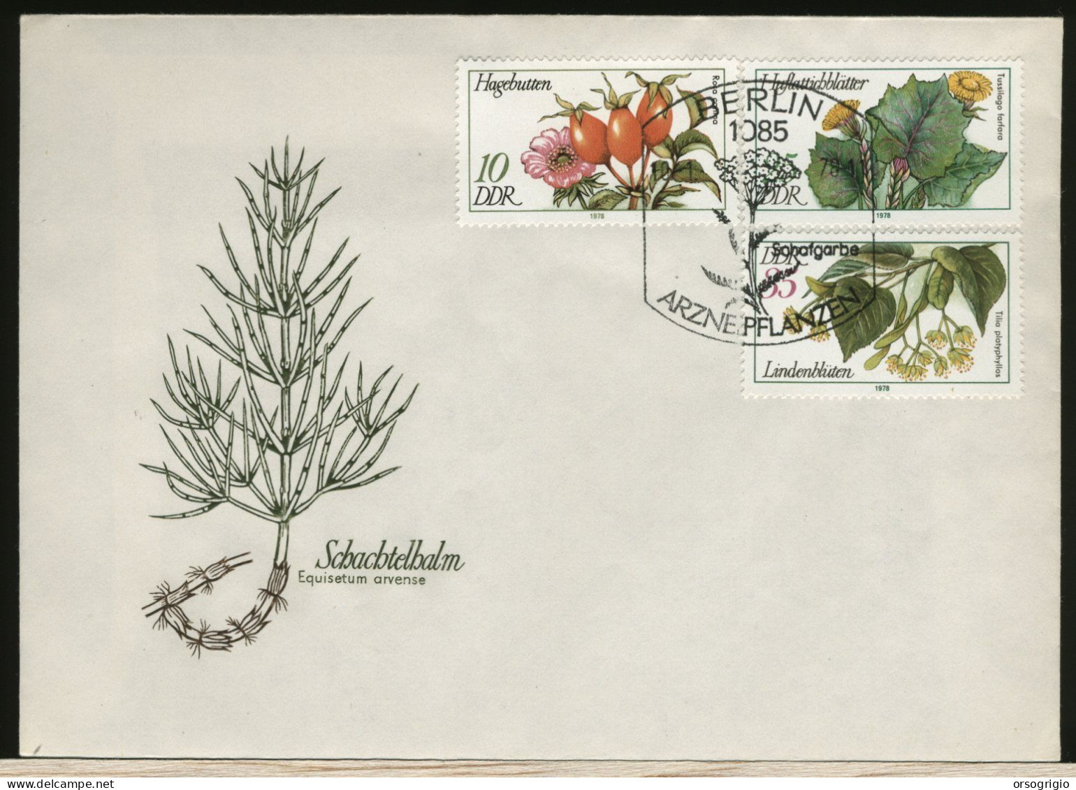 GERMANY - DEUTSCHE - DDR - FDC 1985 -  BLUMEN - 1981-1990