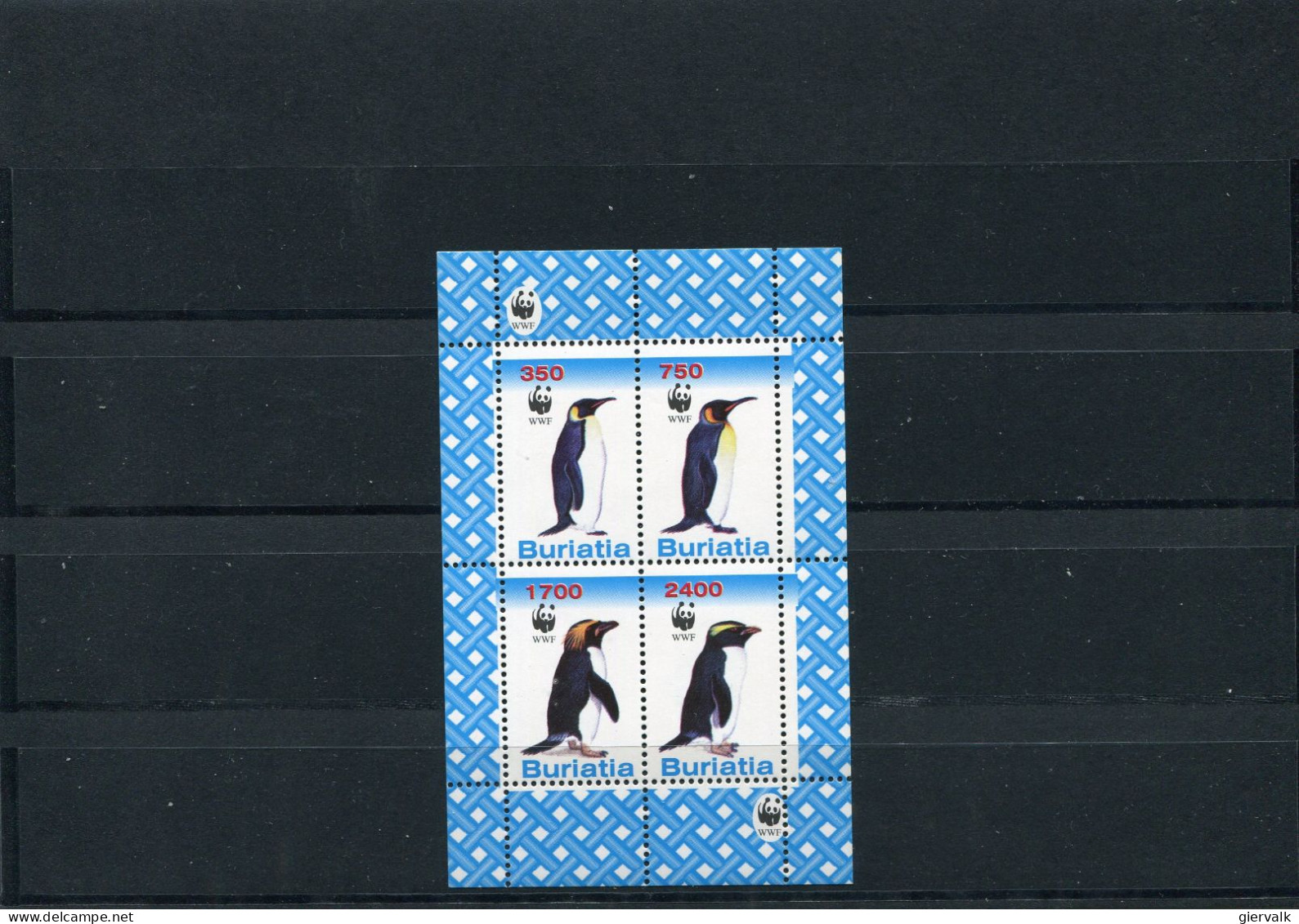 RUSSIA STATES (BURIATIA) WWF Penguins MNH - Pingouins & Manchots