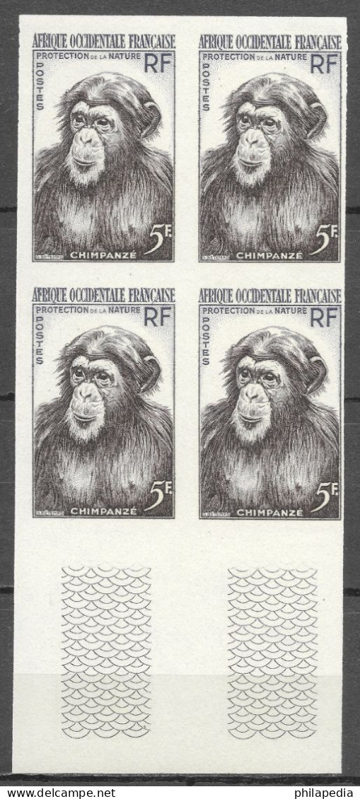 Aof France Faune Singe Chimpanzé Essais Non Dentelés Monkeys Apes Imperfs Proofs Essay Affen Geschnitten ** 1955 + 180 € - Chimpanzees