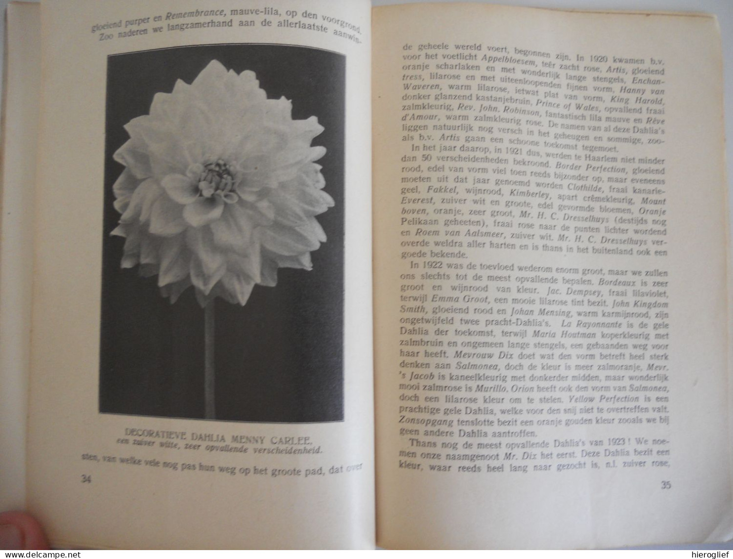 DE DAHLIA Afdeeling PLANT BLOEM VRUCHT Ol J.F.C DIX  Weten En Kunnen - Geschiedenis Tuinrassen Cultuur Behandeling Flora - Practical