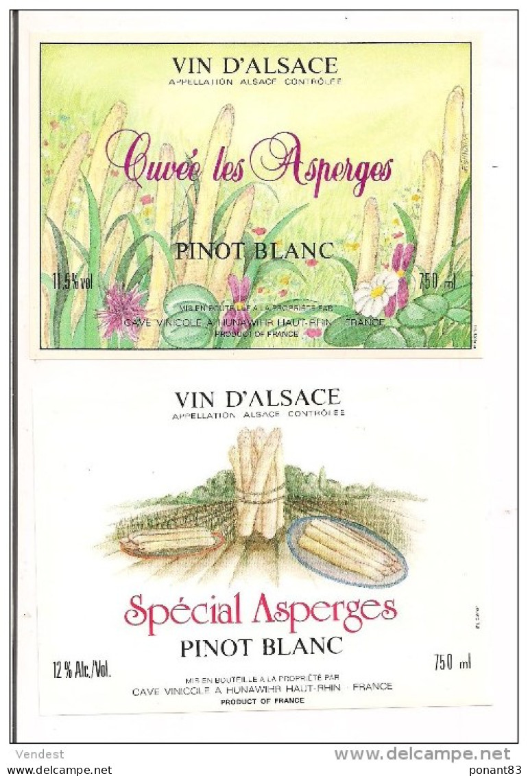 Etiquettes Vin D'ALSACE Pinot Blanc Spécial Asperges - Cave D' Hunawihr - - Blancs