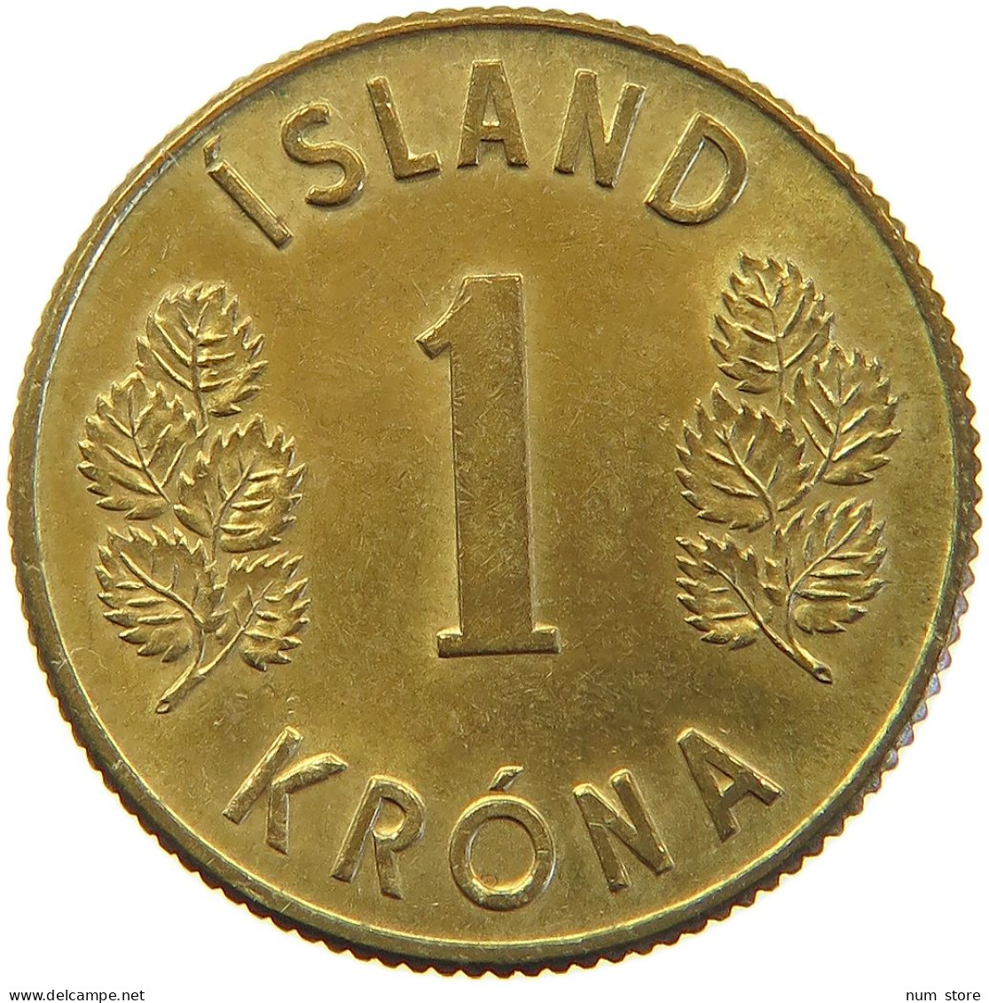 ICELAND KRONA 1973  #MA 067908 - IJsland