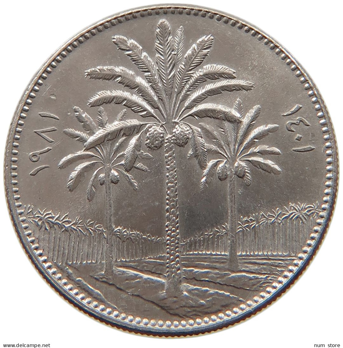 IRAQ 50 FILS 1981  #MA 066063 - Iraq