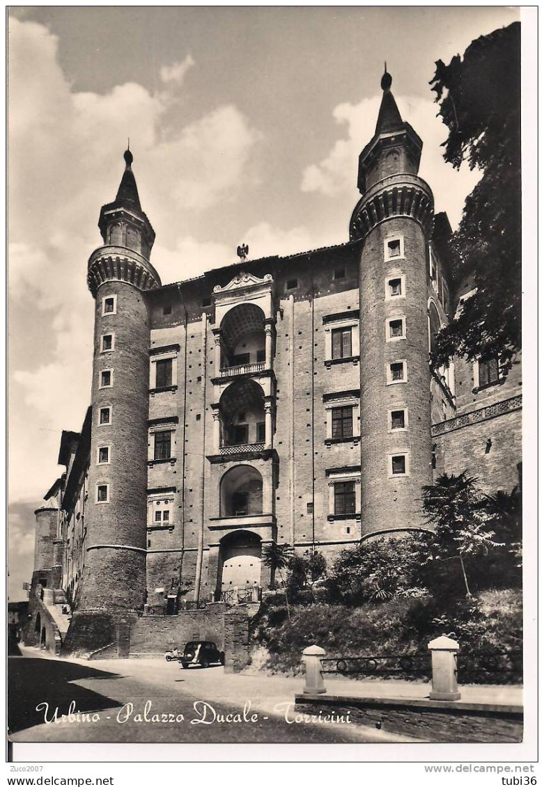 URBINO - PALAZZO DUCALE - TORRICINI  - B/N  VIAGGIATA  1957 - ANIMATA E VETTURE D'EPOCA - Urbino