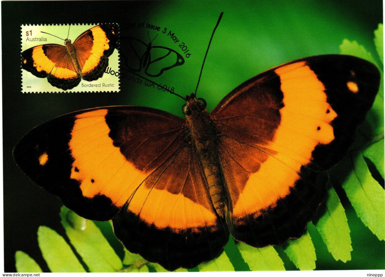 Australia 2016  Butterfly,Bordered Rustic ,maximum Card - Maximum Cards