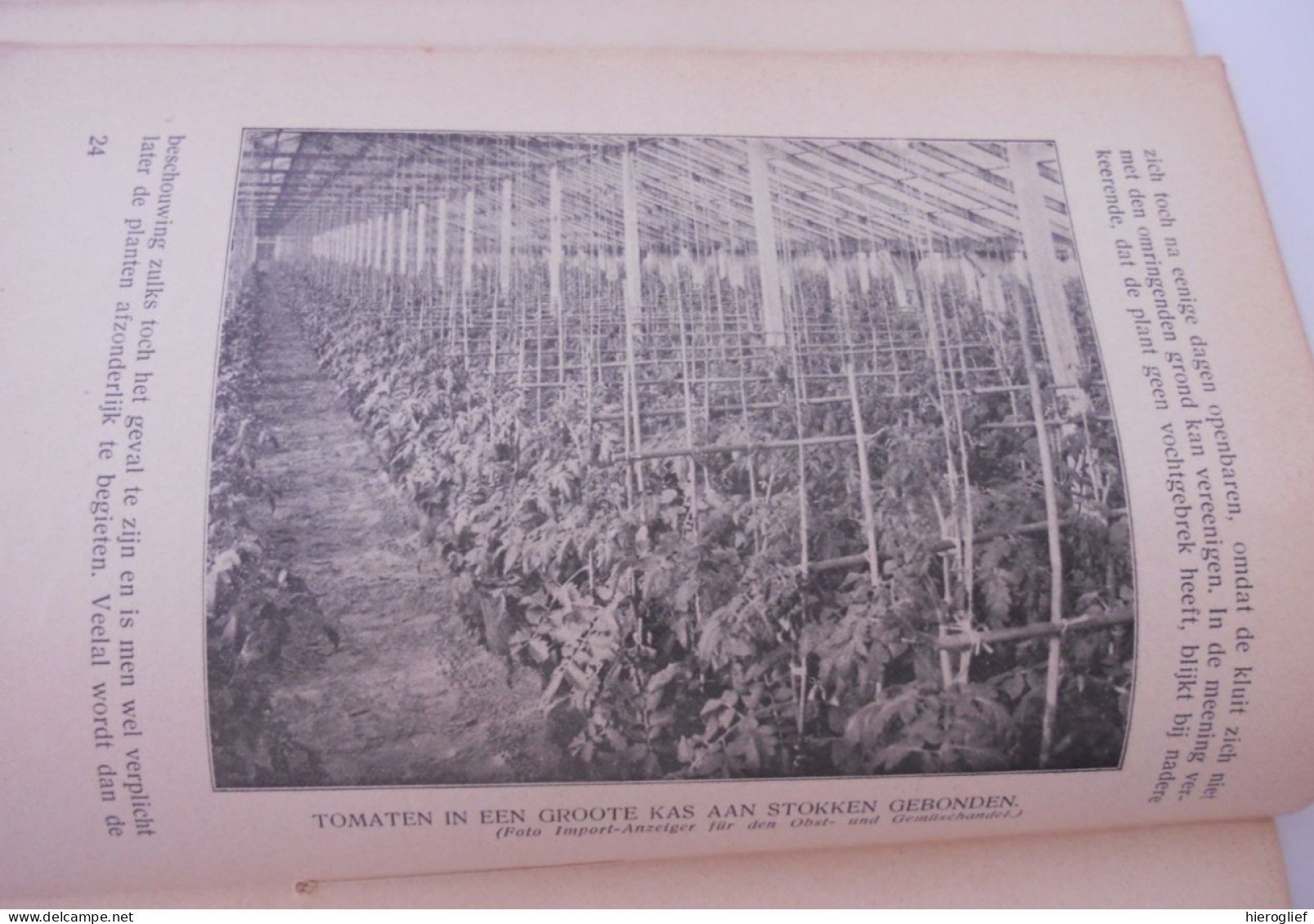 Het Kweeken Van Tomaten Door J.L. De Hoog / Weten En Kunnen - Afdeeling PLANT BLOEM VRUCHT Tuinbouw Kweken Telen Groente - Practical