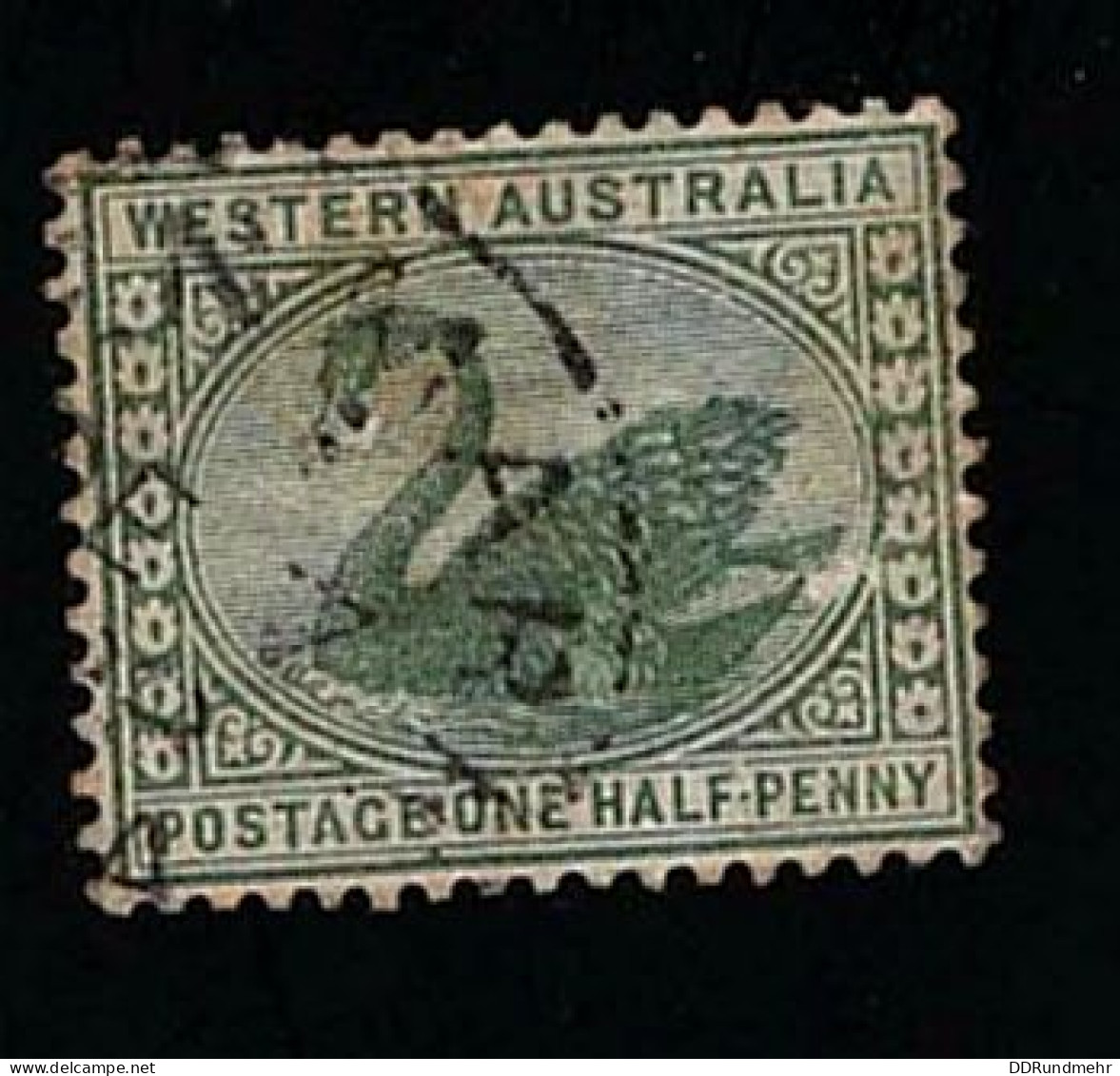 1885 Black Swan  Michel AU-WA 30 Stamp Number AU-WA 58 Yvert Et Tellier AU-WA 42 Stanley Gibbons AU-WA 94a Used - Gebraucht