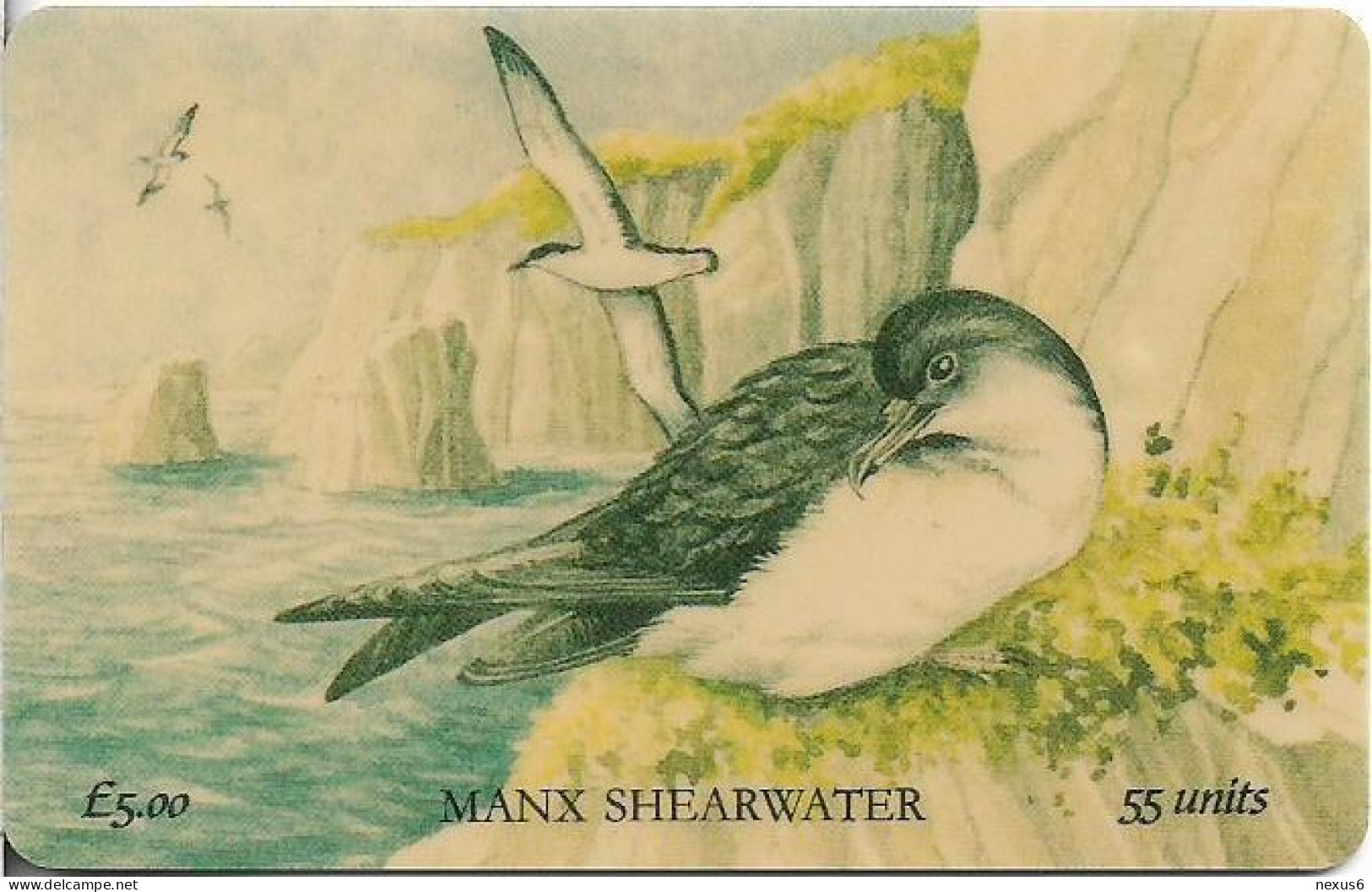 Isle Of Man - Chip - Manx Fauna - Manx Shearwater, 1997, 55U, 6.000ex, Mint - Isle Of Man