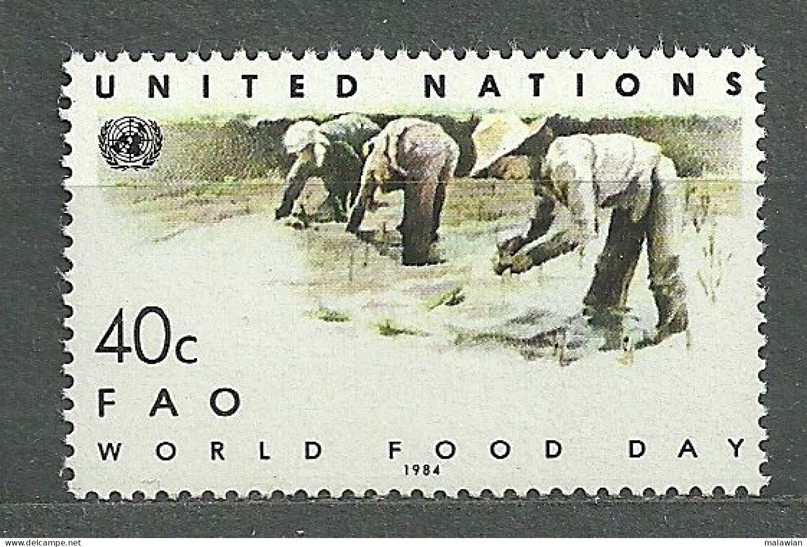 United Nations New York, UN, 1984 (#443a), World Food Day, Agriculture, Planting Rice, Landwirtschaft, FAO, Reis Pflanze - Tegen De Honger