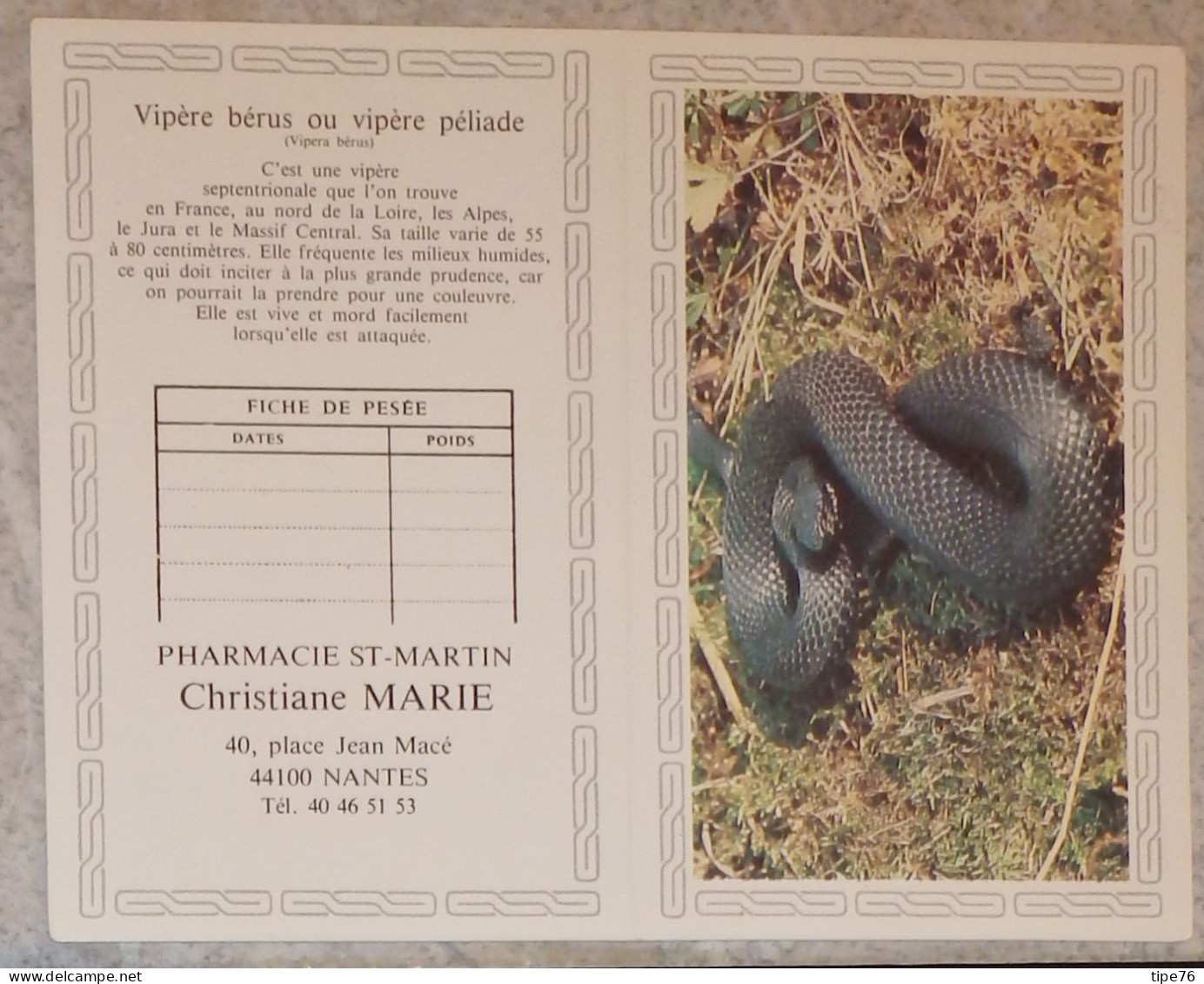 Petit Calendrier De Poche 1989 Vipère Bérus Serpent Pharmacie Nantes Loire Atlantique Création Engelhard - Petit Format : 1981-90