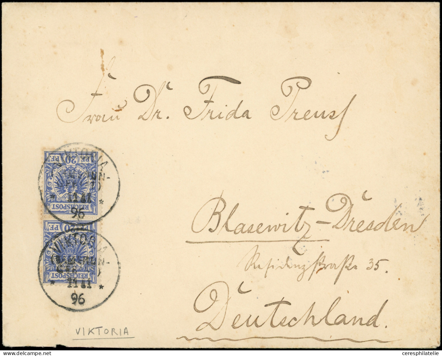 Let CAMEROUN ALLEMAND Allemagne N°48 20pf. Bleu PAIRE Obl. VIKTORIA 11/11/96 S. Env., Arr. DRESDEN 23/12, TB - Camerún