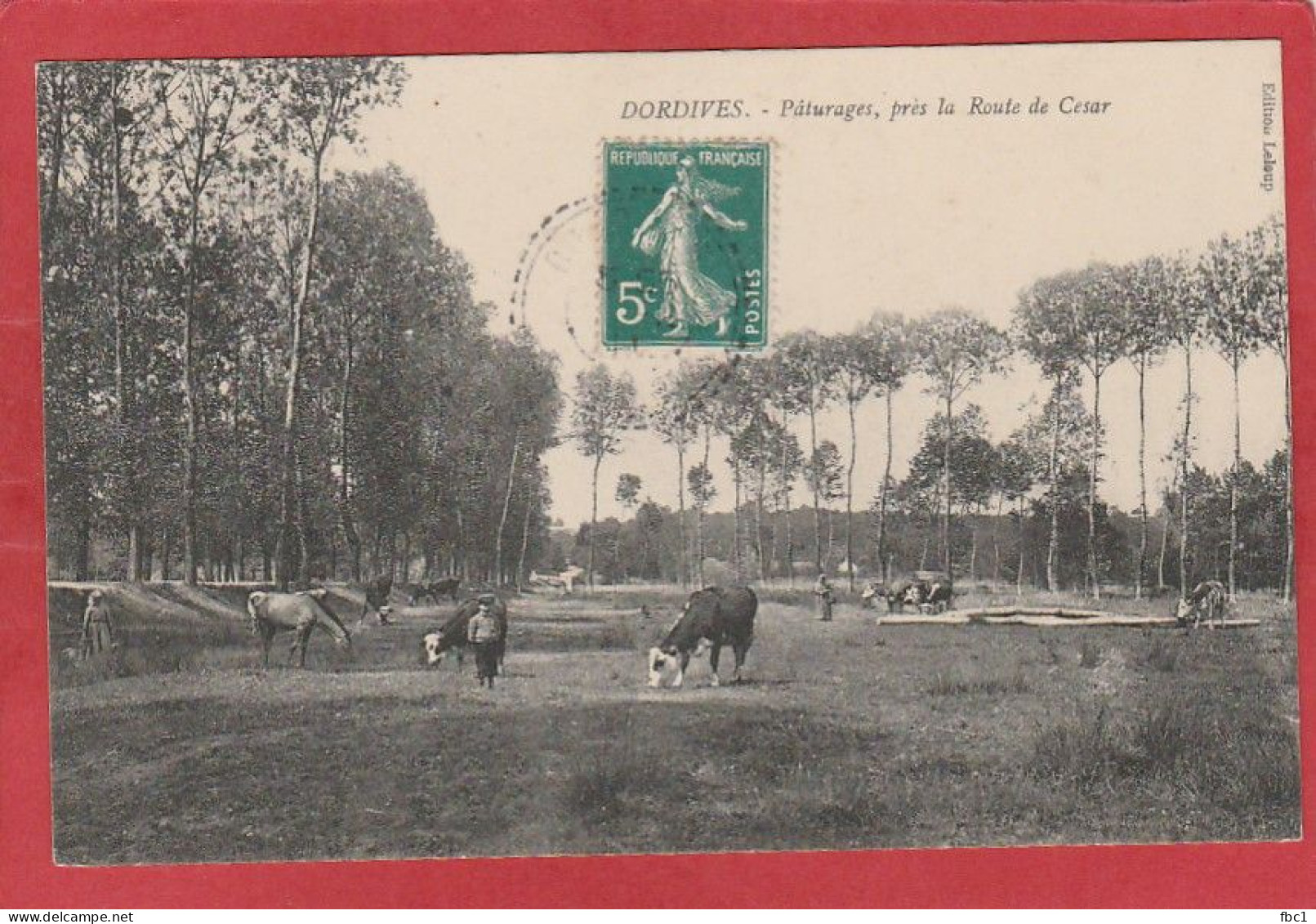 Loiret - Dordives - Pâturages, Prés De La Route De Cesar - Dordives