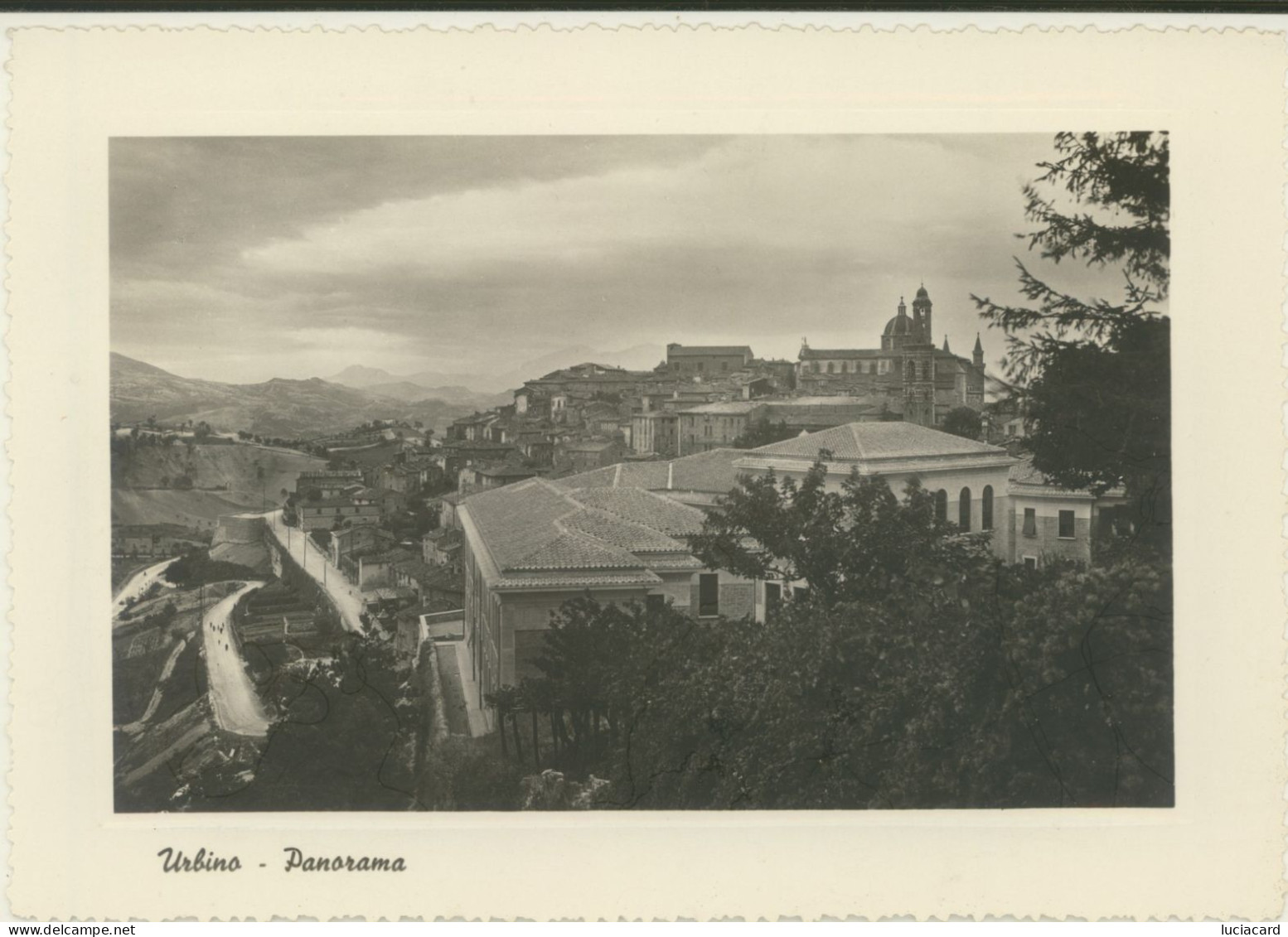 URBINO -PESARO -PANORAMA - Urbino