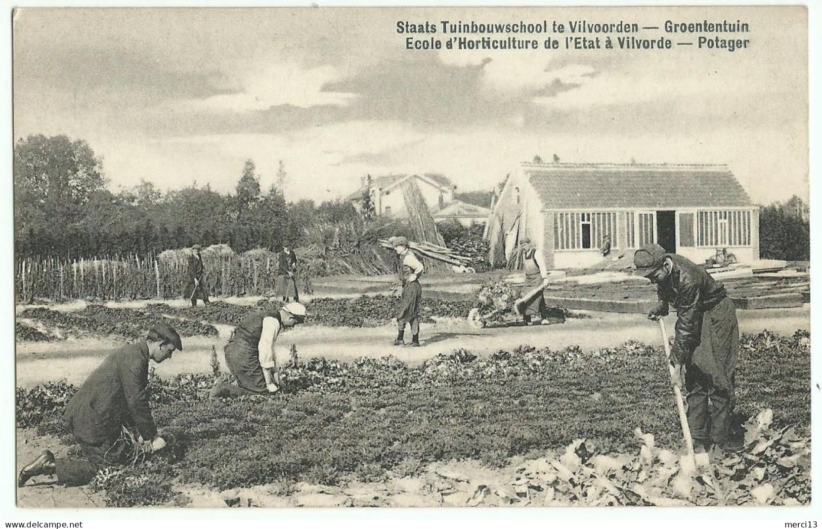 VILVORDE, VILVOORDEN (Belgique) – Ecole D’Horticulture De L’Etat. Potager. Très Animée. Editeur Allecourt - Vilvoorde