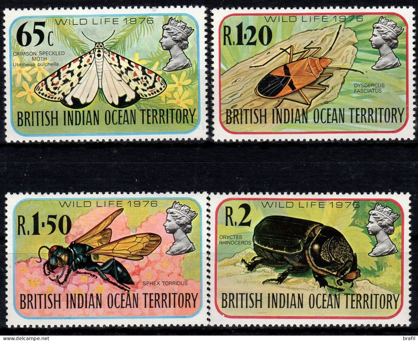 1976 Oceano Indiano, Insetti Farfalle, Serie Completa Nuova (**) - Territoire Britannique De L'Océan Indien