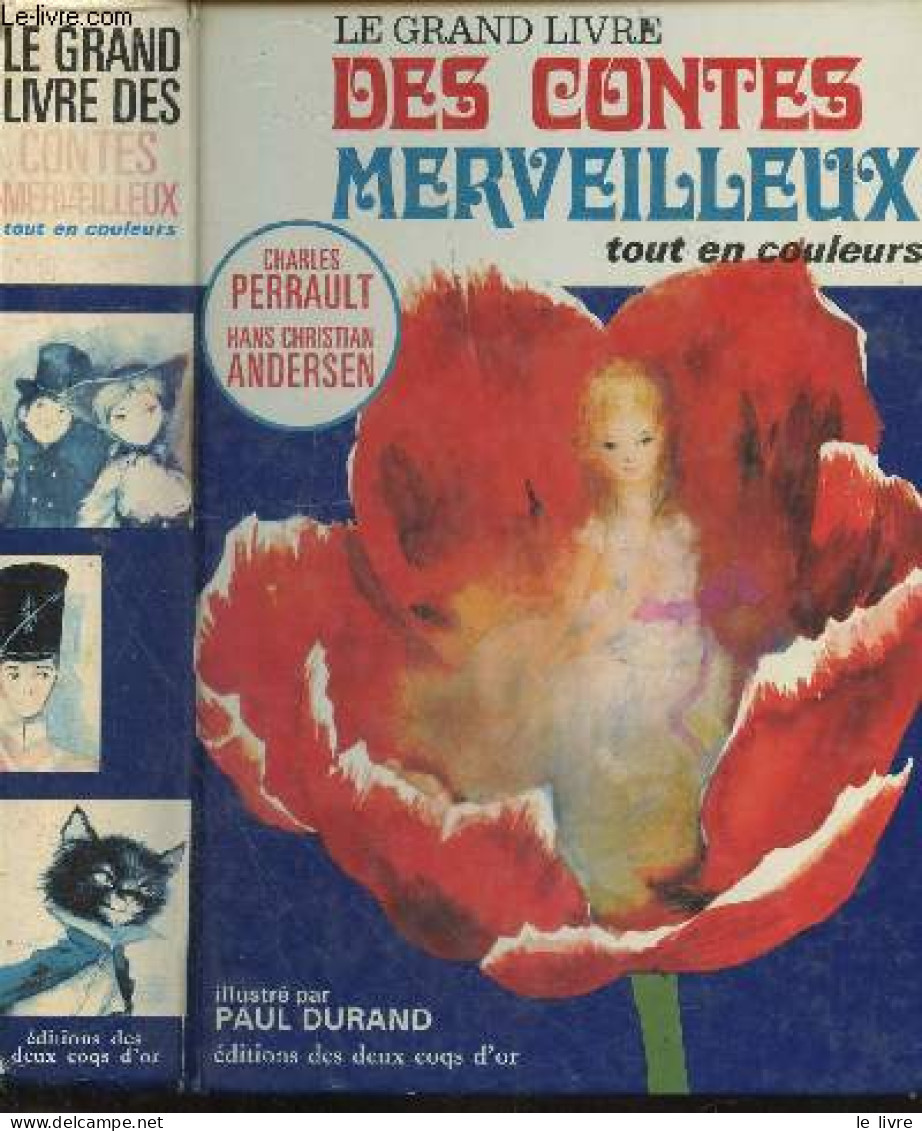 Le Grand Livre Des Contes Merveilleux Tout En Couleurs - Peau D'ane, La Barbe Bleue, Les Fees, Riquet A La Houppe, Le Ch - Contes