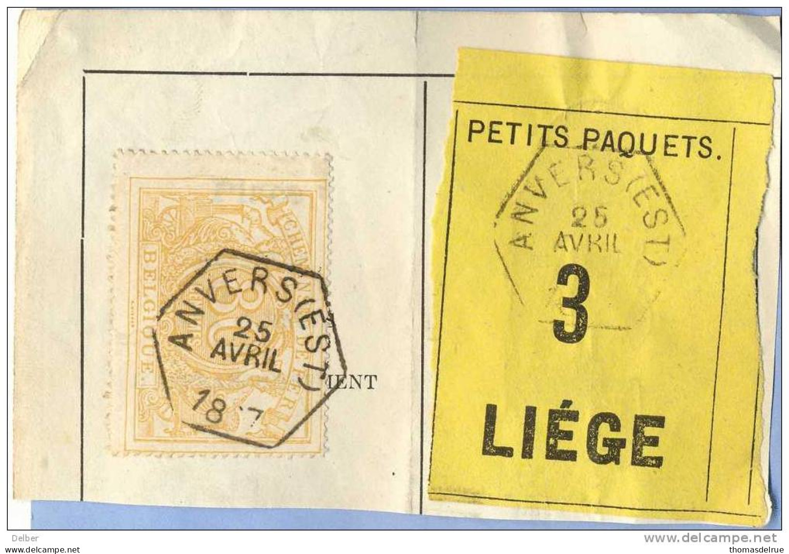 _V904: ANVERS(EST)  > LIEGE: SP12/ Fragment PETITS PAQUETS Met  " étiquette " : N° 3 : Type Bc: - Dokumente & Fragmente