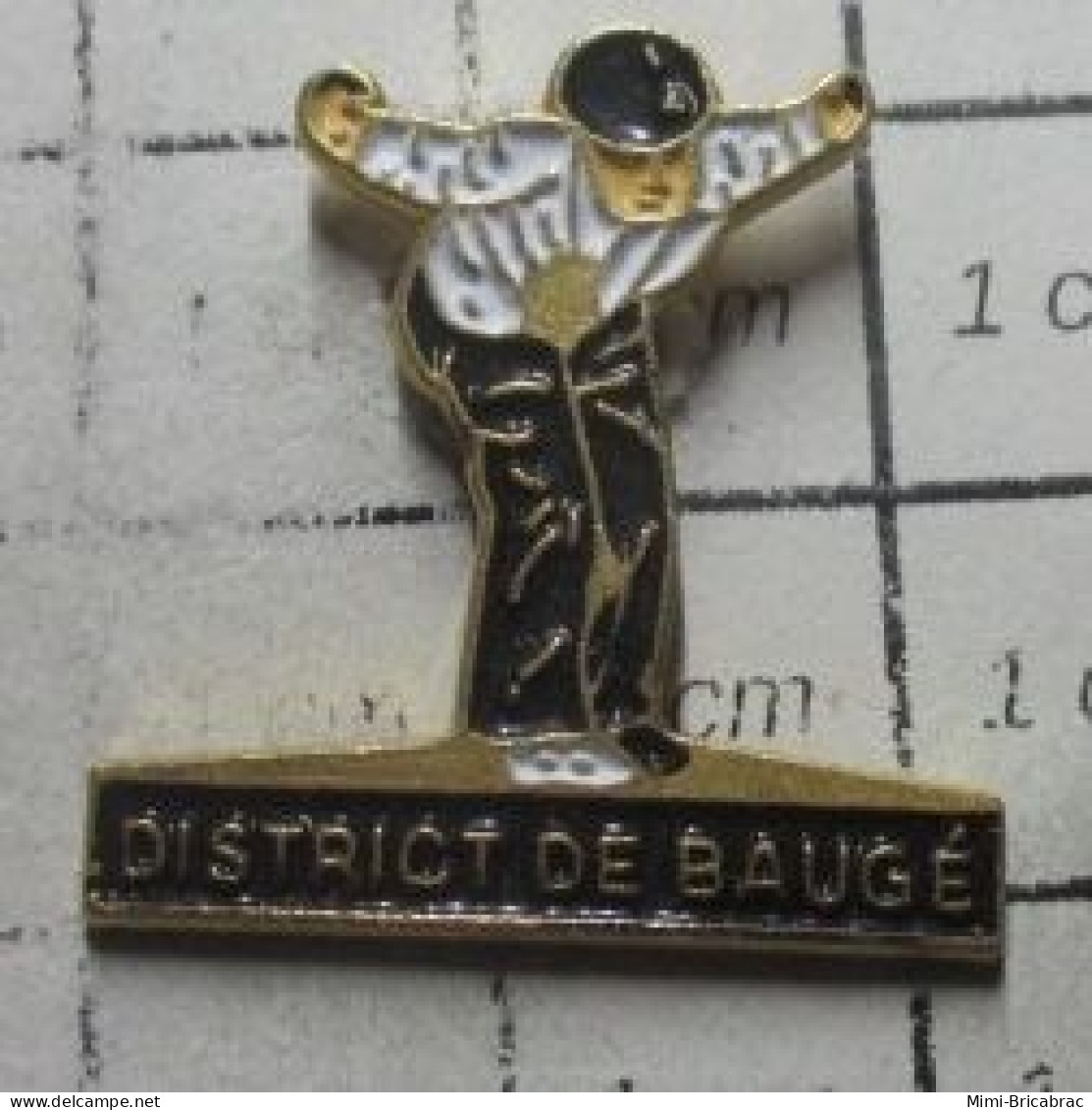 712E  Pin's Pins / Beau Et Rare / SPORTS / PETANQUE DISTRICT DE BAUGé - Pétanque
