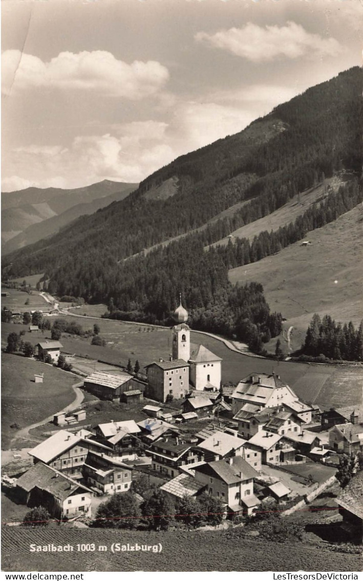 AUTRICHE - Salzbourg - Saalbach - Carte Postale Ancienne - Saalbach