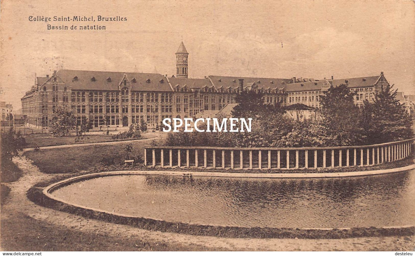 Collège Saint-Michel - Bassin De Natation - Bruxelles - Bildung, Schulen & Universitäten