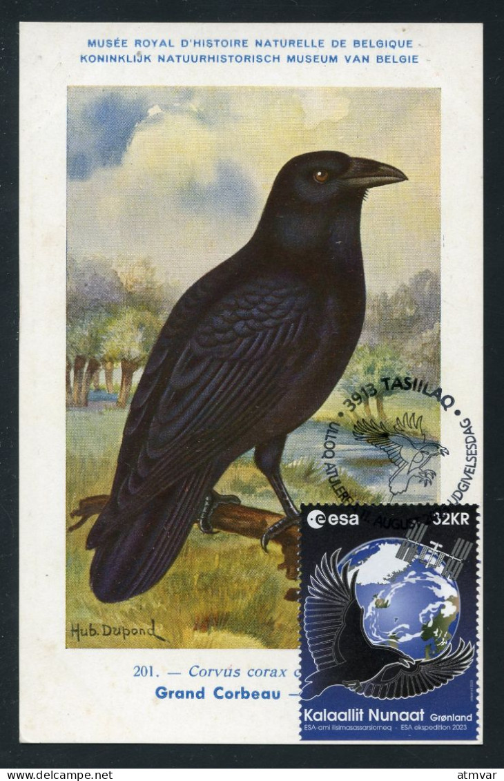 GREENLAND (2023) Carte Maximum Card - ESA Astronaut Andreas Mogensen To ISS, Corvus Corax, Grand Corbeau, Common Raven - Cartoline Maximum