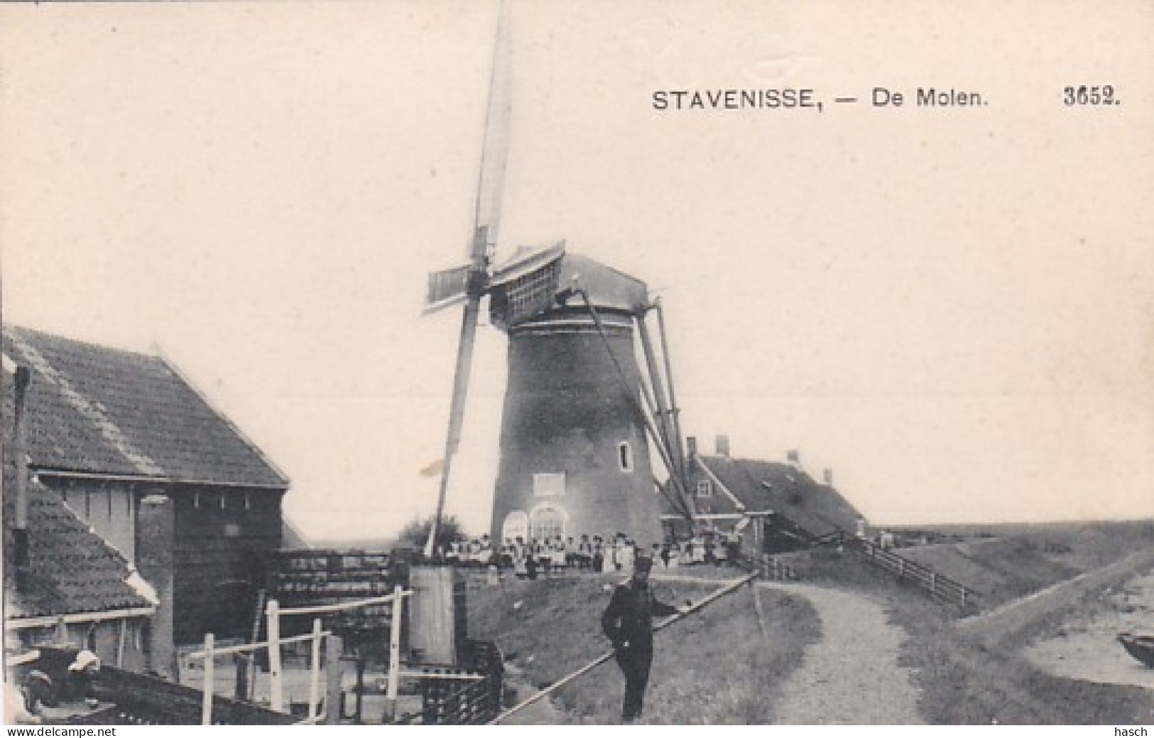 48443Stavenisse, De Molen.  - Stavenisse