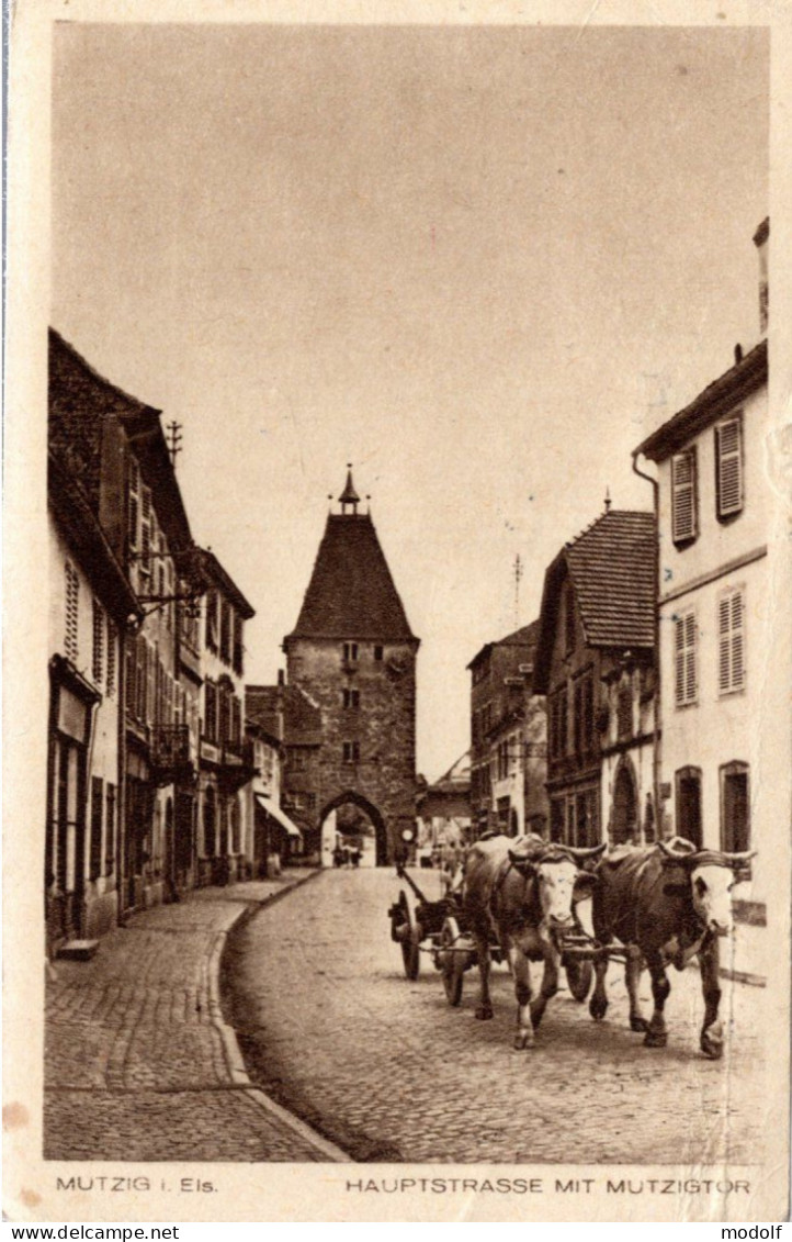 CPA - 67 - Mutzig - Hauptstrasse Mit Mutzigtor - Animée (attelage De Boeufs) - Mutzig