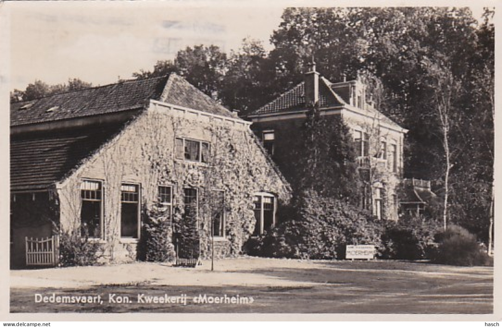 4843604Dedemsvaart, Kon. Kweekerij ,,Moerheim’’(FOTOKAART)1939.(kleine Vouwen In De Hoeken) - Dedemsvaart