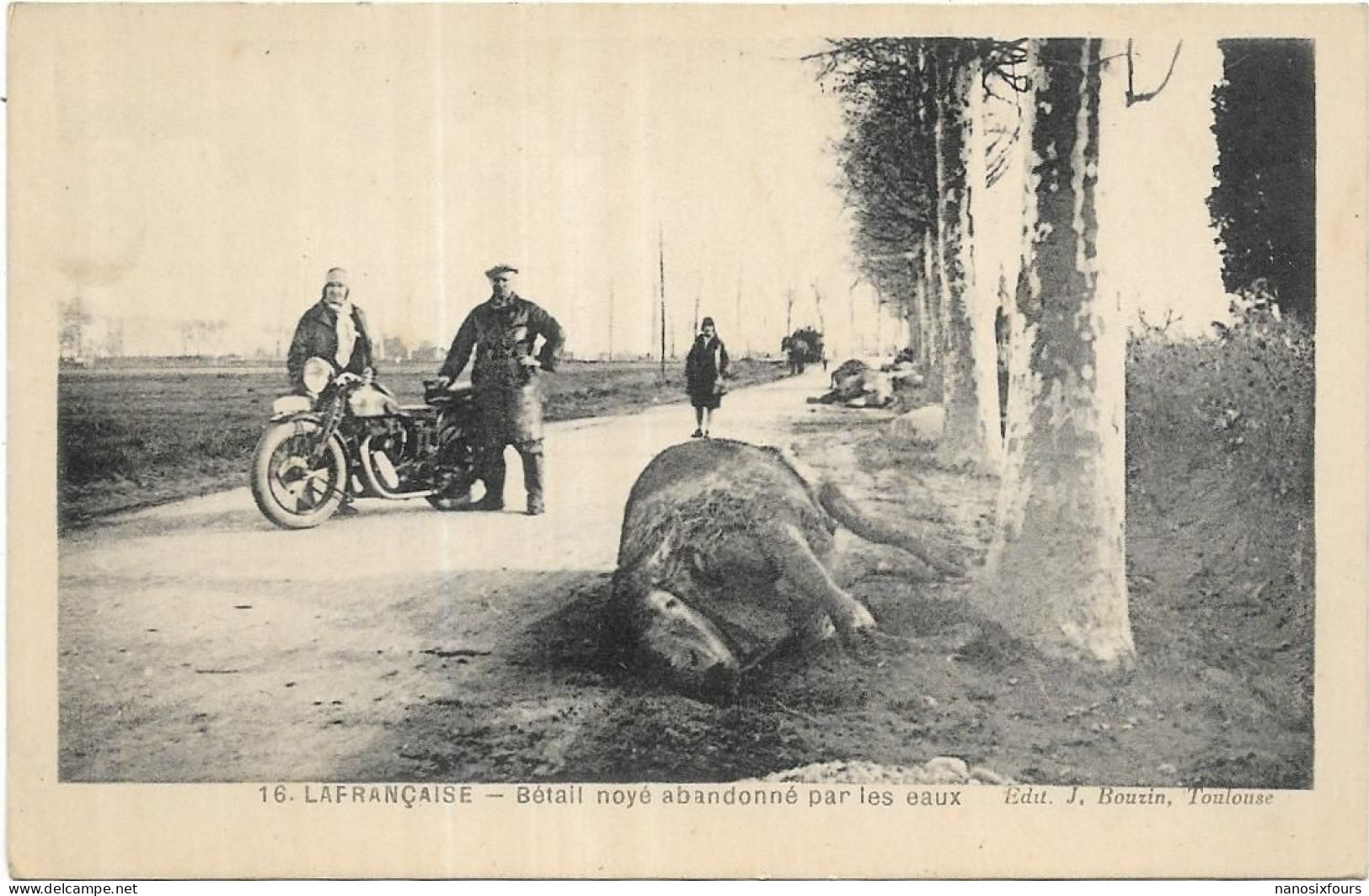 D 82.LAFRANCAISE. BETAIL NOYE ABANDONNE PAR LES EAUX.  TRES BELLE MOTO - Lafrancaise