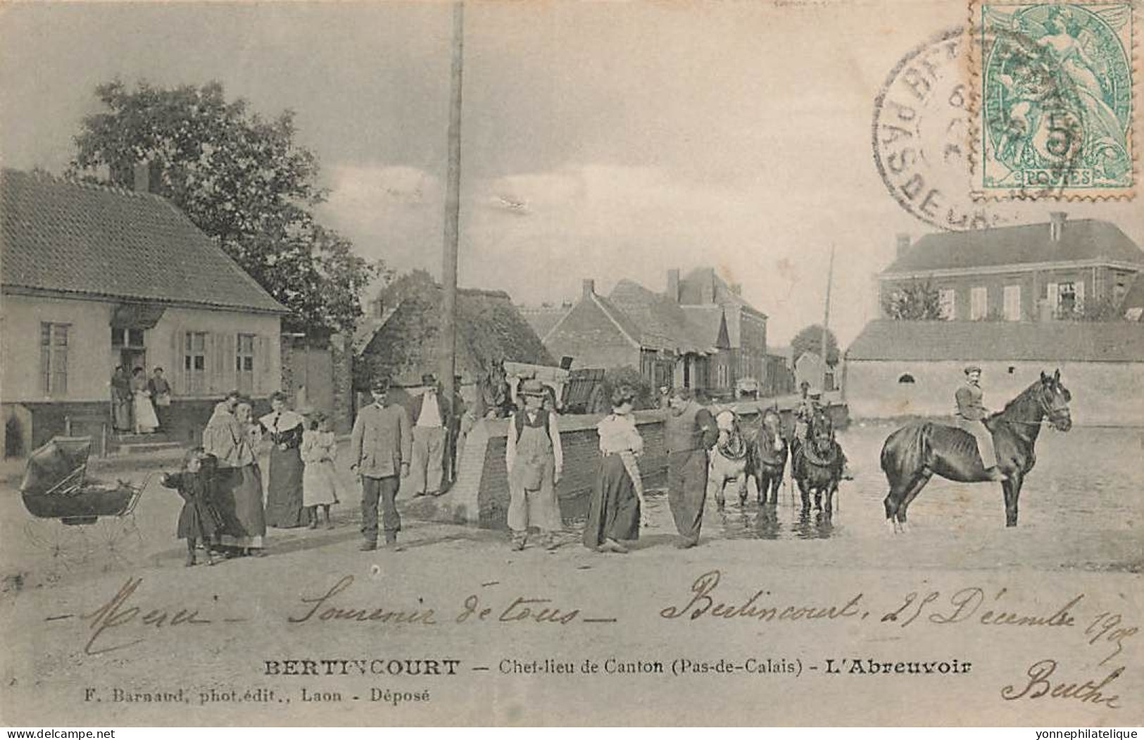 62 - PAS-DE-CALAIS - BERTINCOURT  - Chef-lieu De Canton - L'abreuvoir - 10446 - Bertincourt