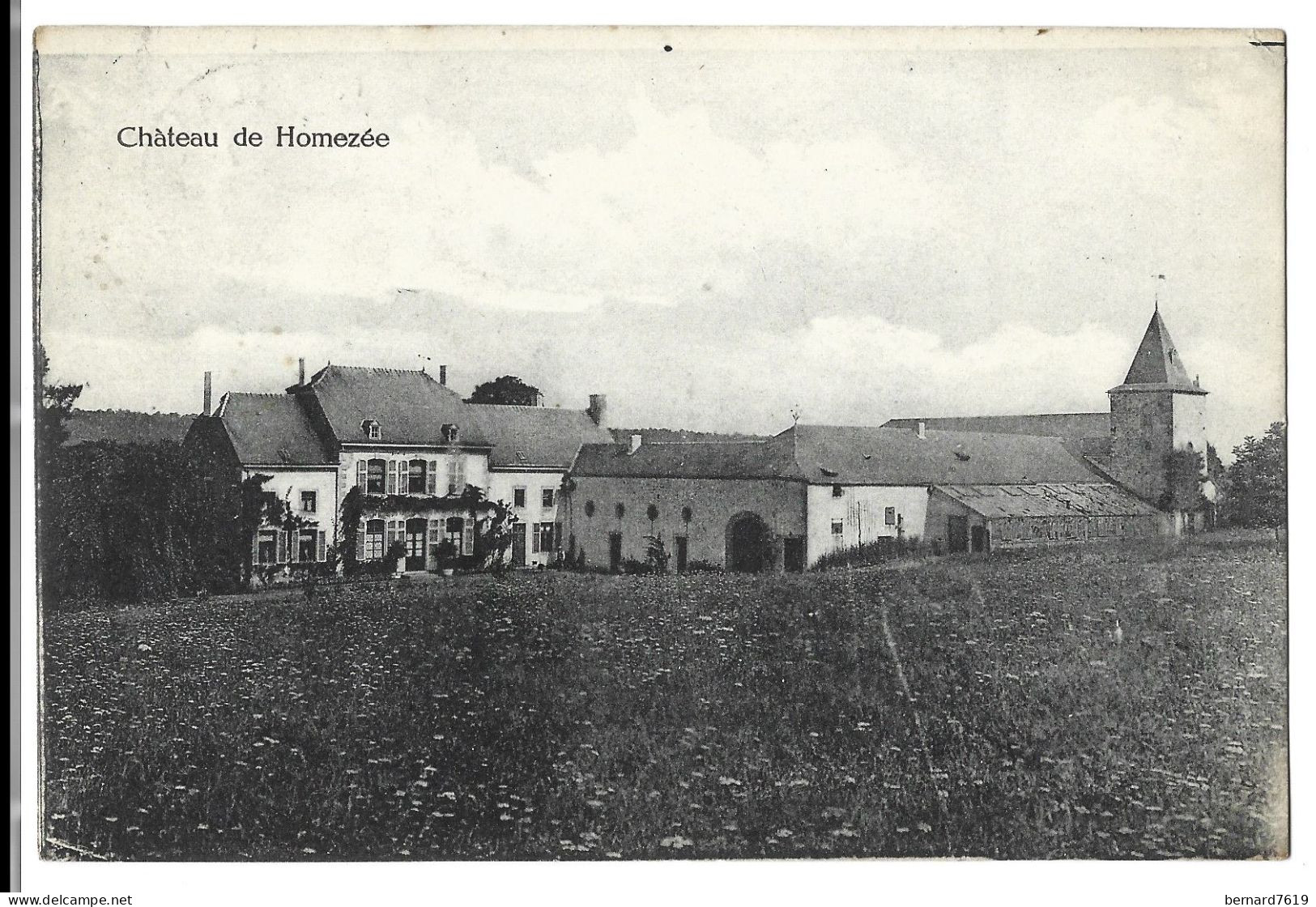 Belgique  - Chateau De  Homezee -   Pres Havelange -  Baron  De Garcia  De La Vega  Et Baronne - Havelange