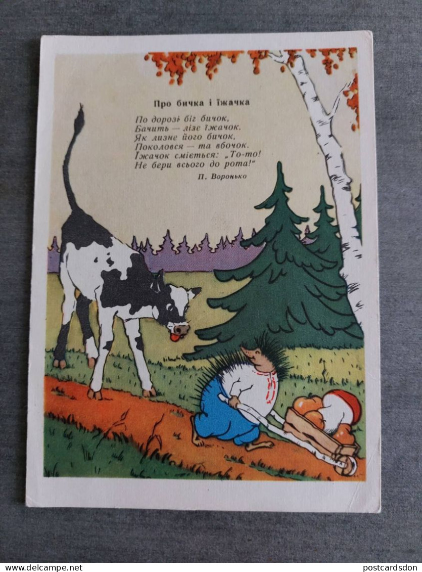 OLD USSR Postcard  - "Hedgehog Picking Mushrooms" By Kudryashov-   Champignon  - MUSHROOM 1957 - Champignons