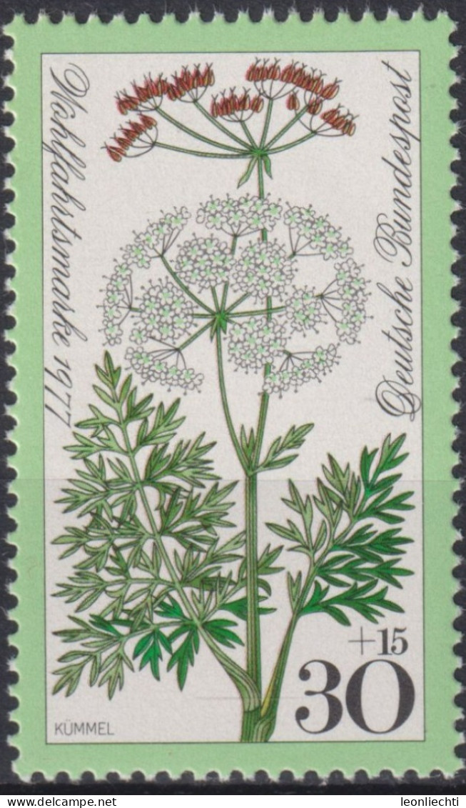 1977 Deutschland > BRD, ** Mi:DE 949, Sn:DE B542, Yt:DE 796, Kümmel, Heilpflanze, Wiesenblumen, Für Die Wohlfahrt - Plantes Médicinales