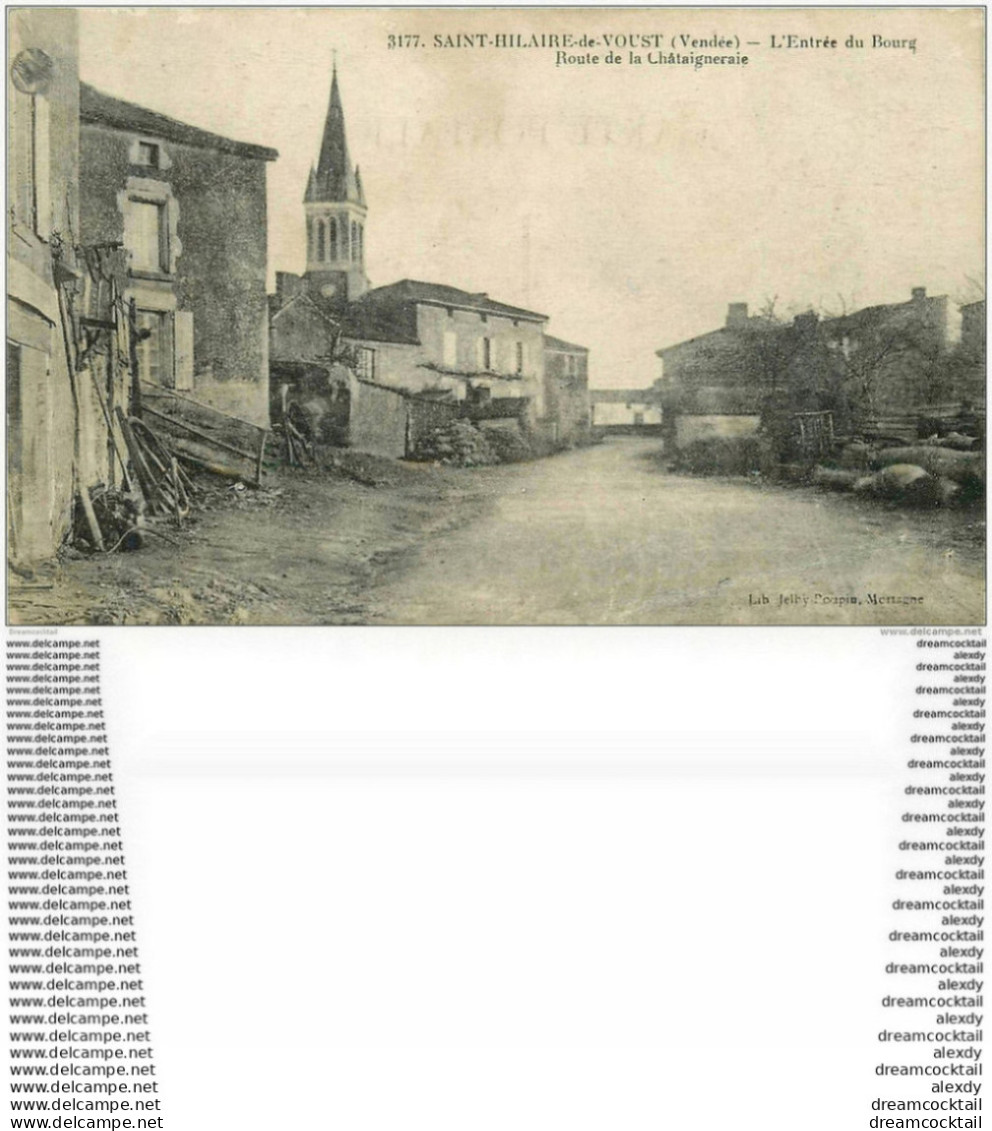 85 SAINT HILAIRE DE VOUST. Entrée Du Bourg Route Châtaigneraie. Carte Vierge - Saint Hilaire Des Loges