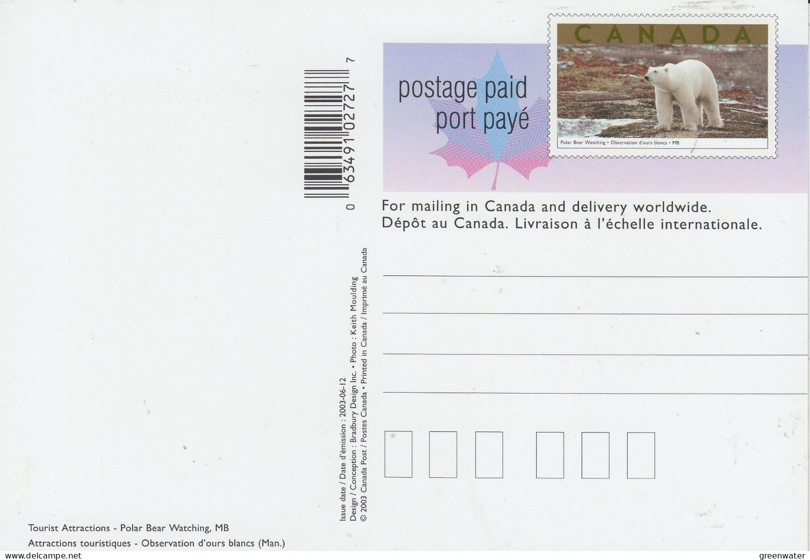 Canada 2003 Postal Stationery Postcard Polar Bear Watching Unused (CN154) - Covers & Documents