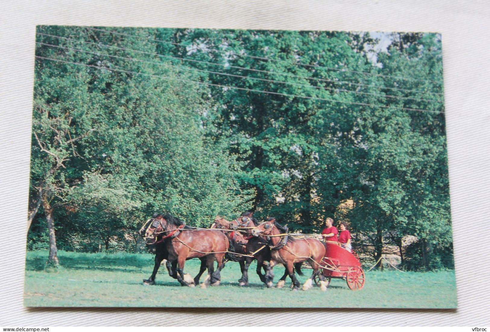 Cpm, Juvigny Sous Andaine, La Michaudière, Ferme Du Cheval De Trait, Orne 61 - Juvigny Sous Andaine