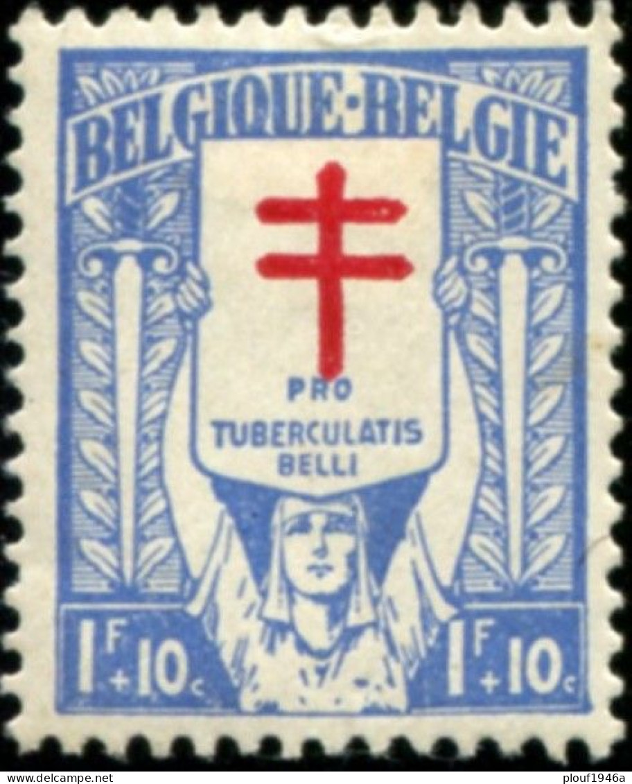 COB  236 -V 2 (*) Absence De Croix Rouge En Bas - 1901-1930